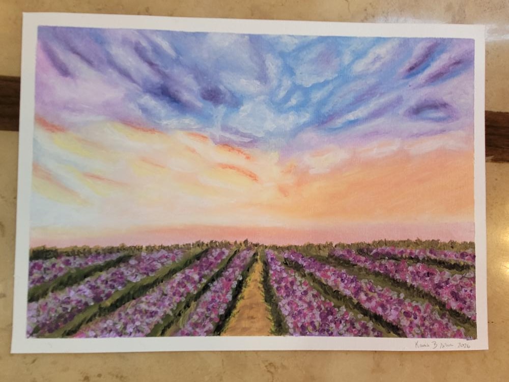 Lavender field :) I loved the class! - image 1 - student project
