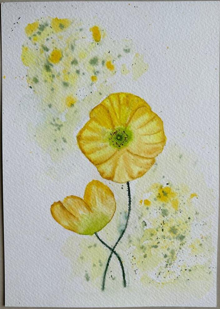 Wildflowers in watercolors - image 5 - student project