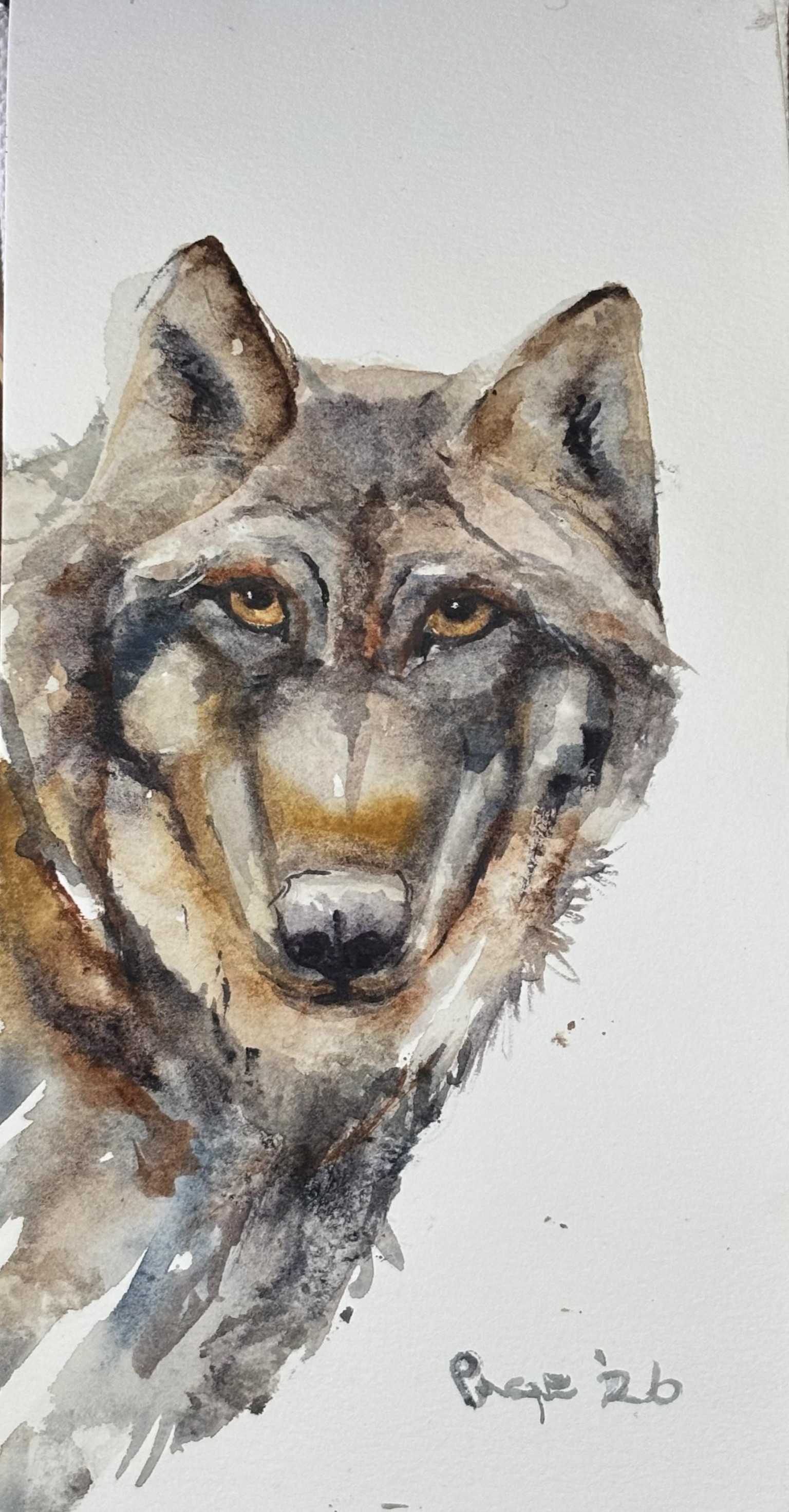 Wolf-Jane Davies Class - image 2 - student project