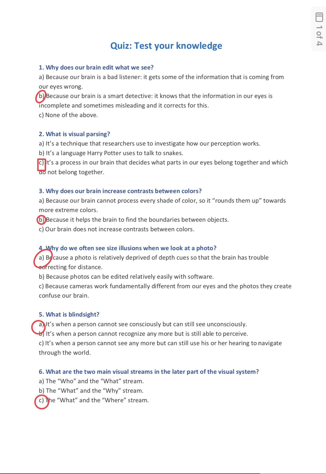 Answers to the quiz - image 1 - student project