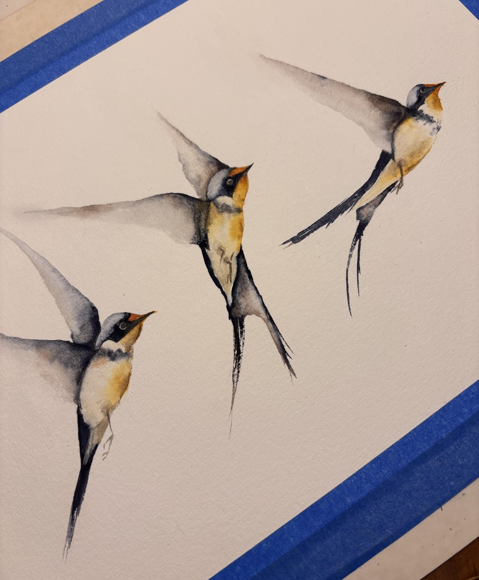 Graceful Swallows - image 1 - student project