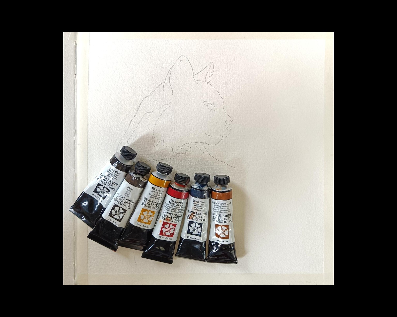 Painting a free flow Lynxs with Jane - image 2 - student project