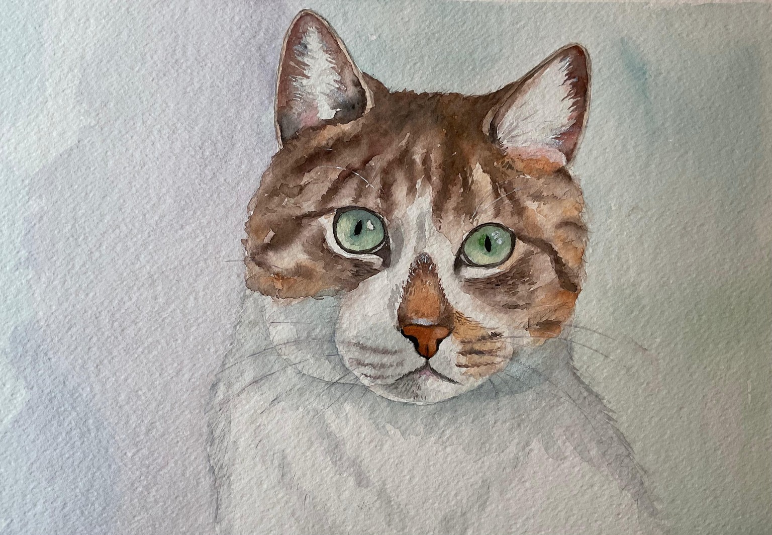 Cat tutorial - image 1 - student project