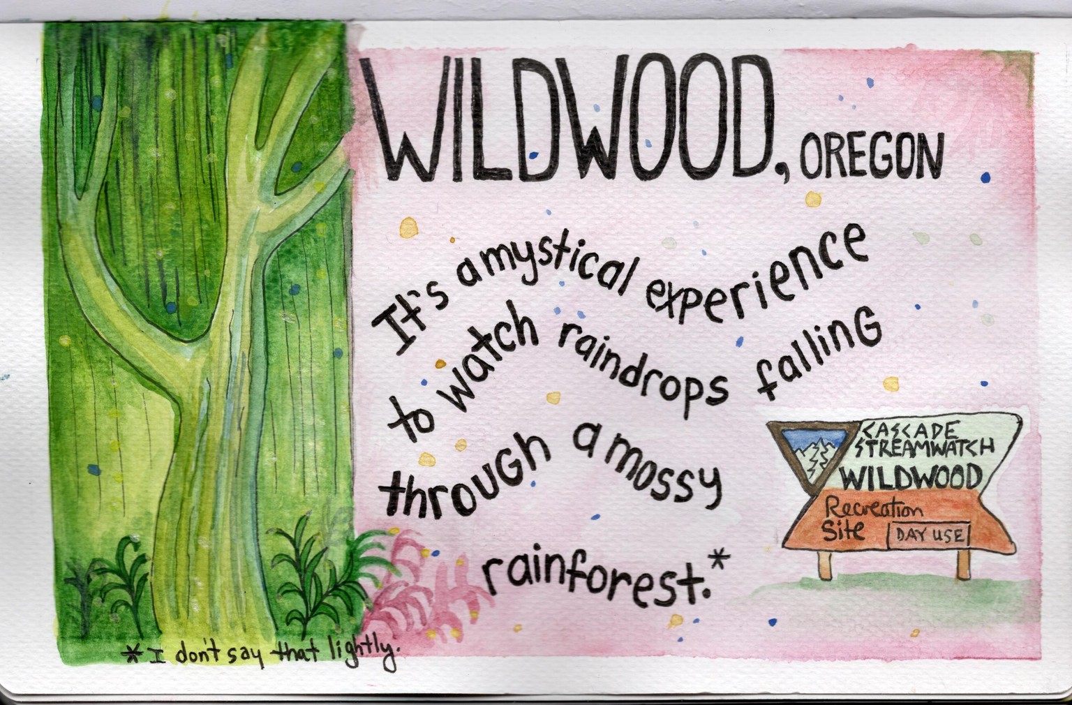 Wendover and Wildwood - image 5 - student project