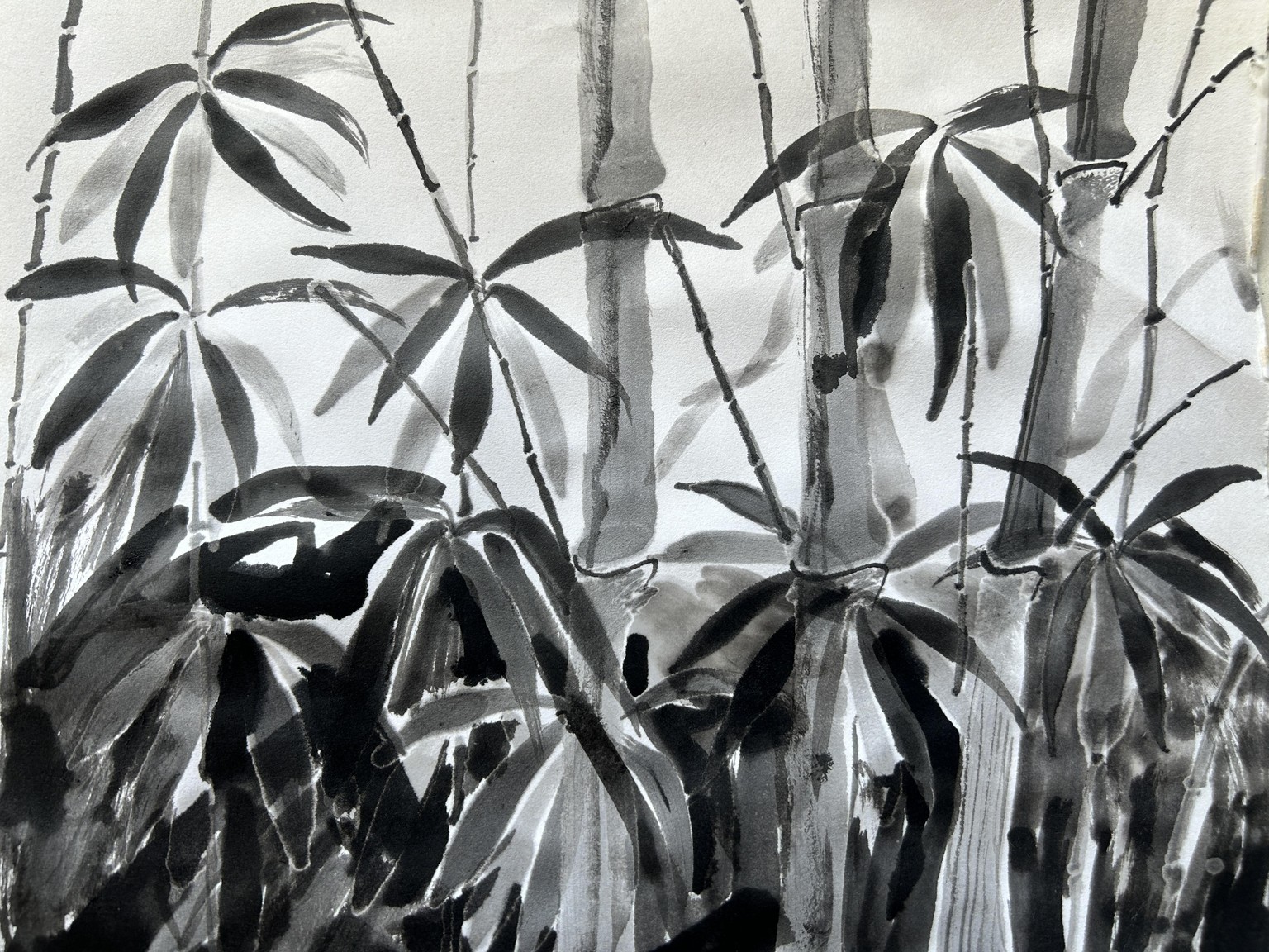 Bamboo leaves - image 1 - student project