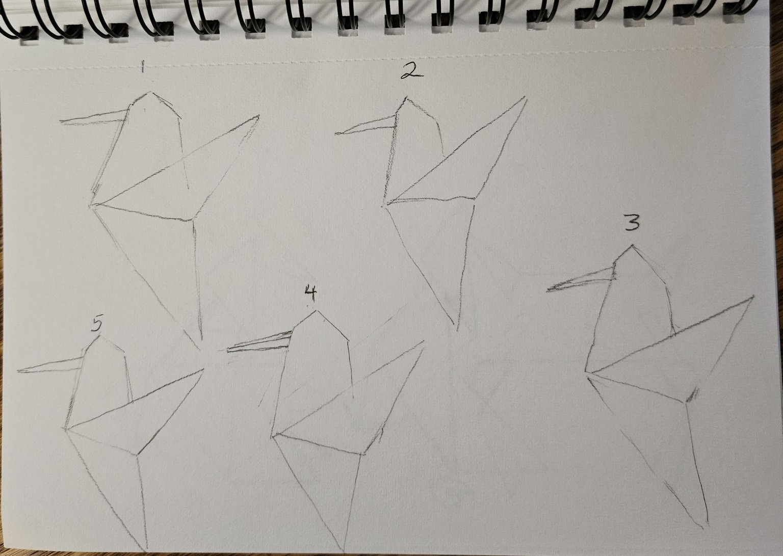 Sketching origami - image 1 - student project