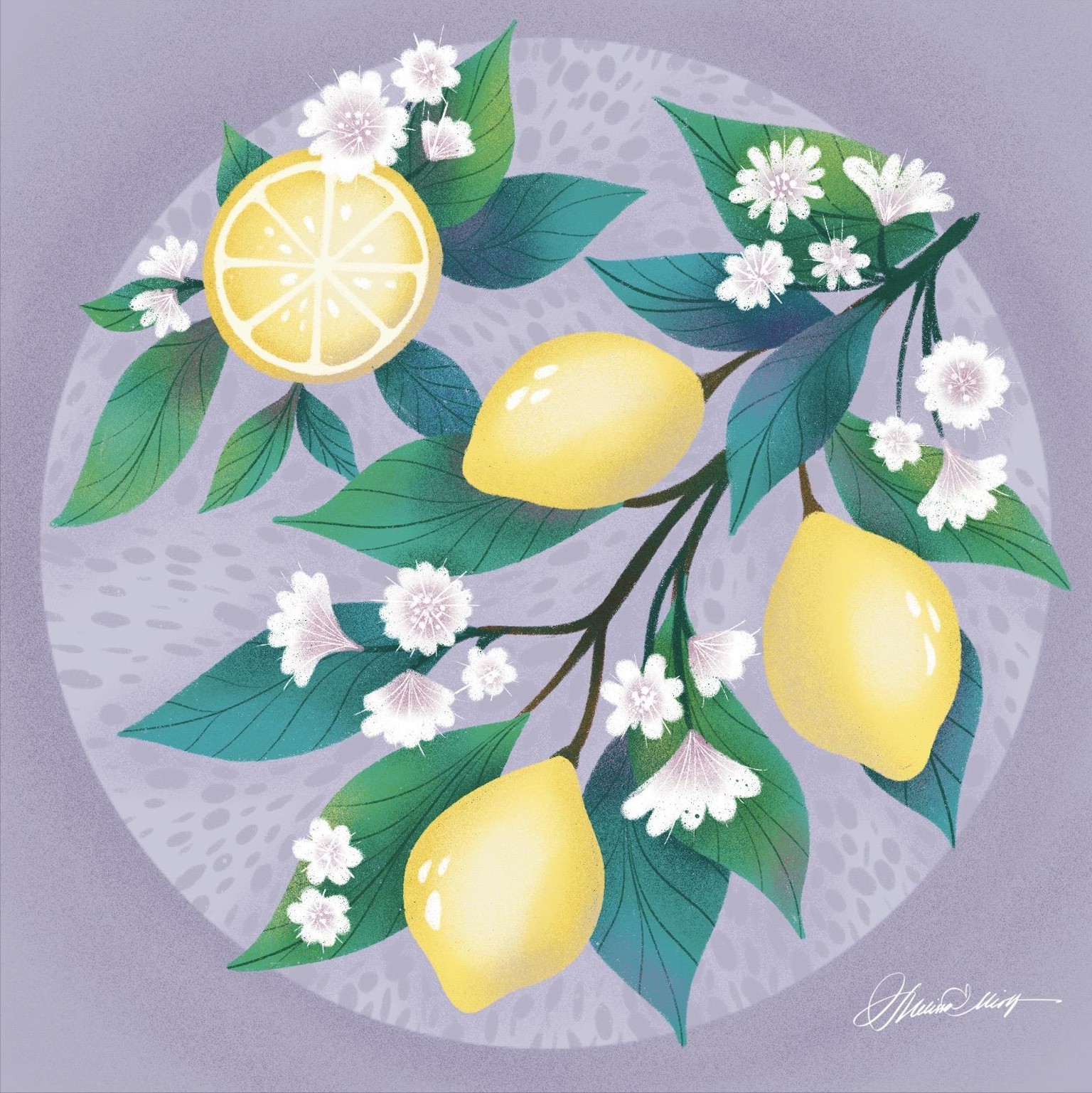 Botanical Illustration Class Project - image 1 - student project