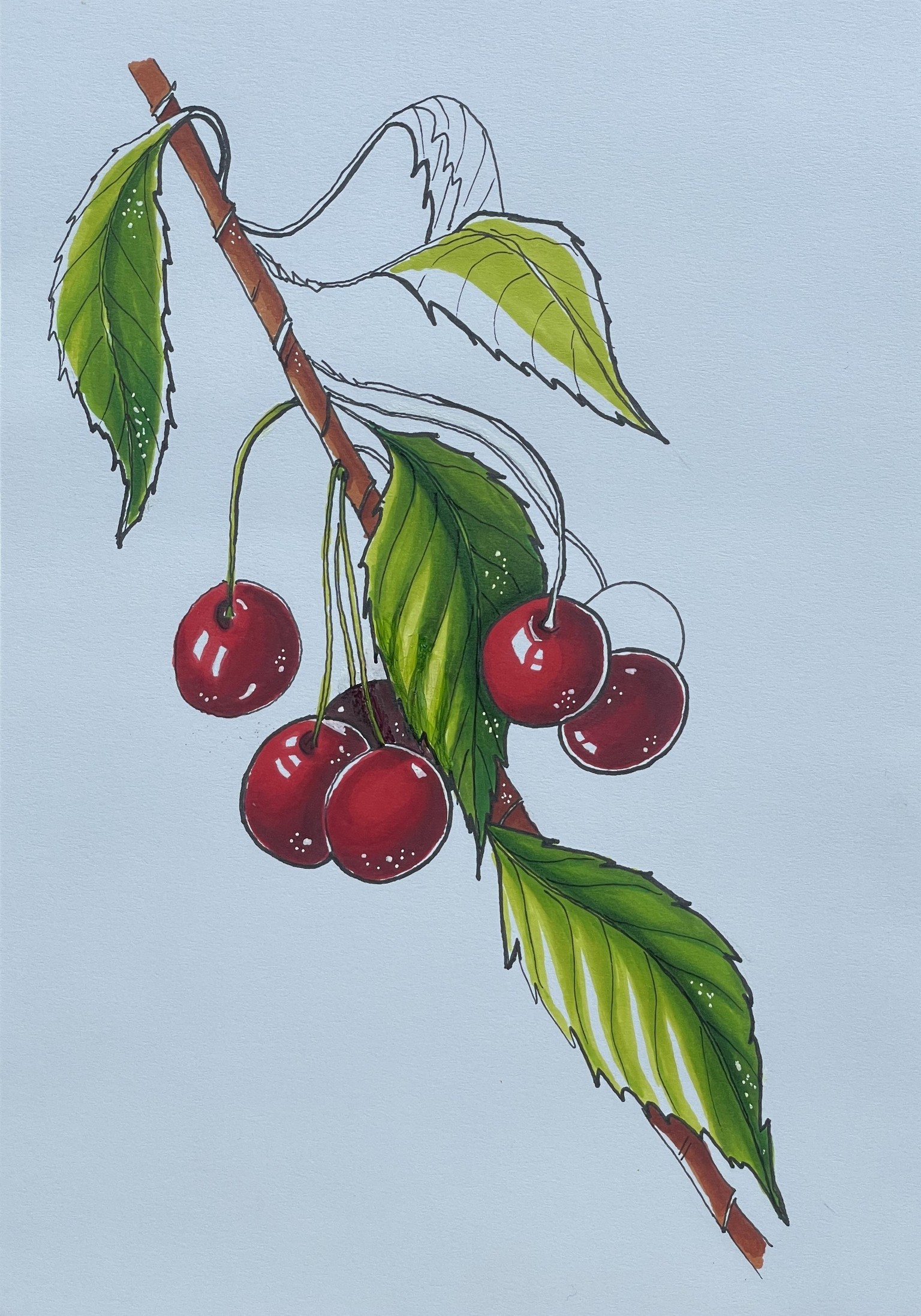 Markers - expressive fruits - image 4 - student project