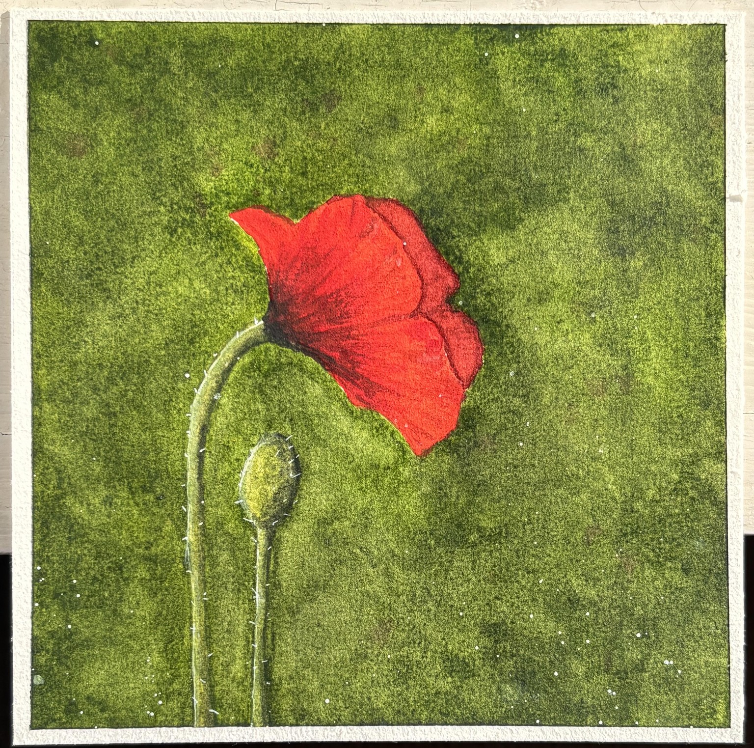 Proud Poppy - image 1 - student project