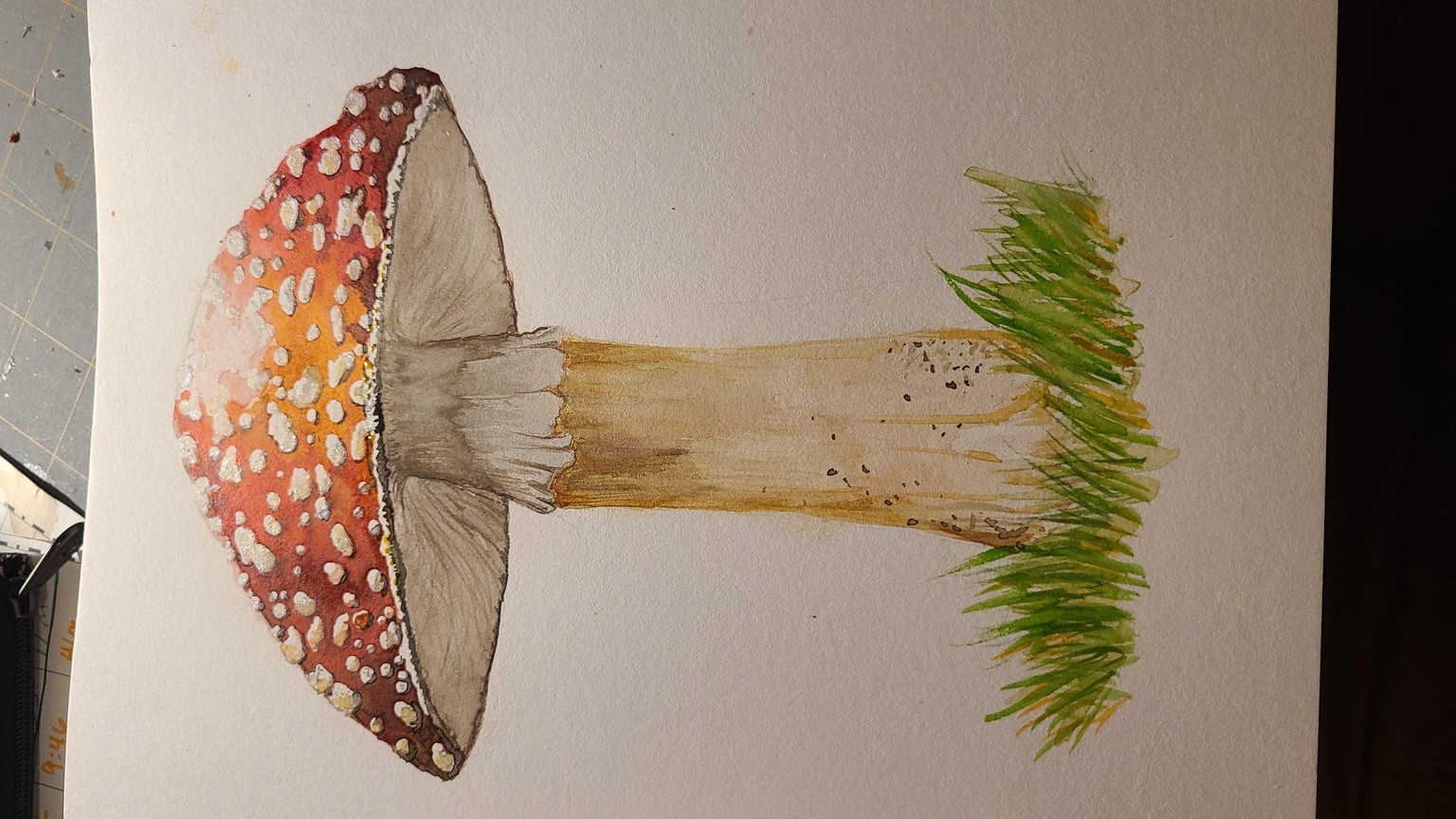 Day 1-12 - image 1 - student project