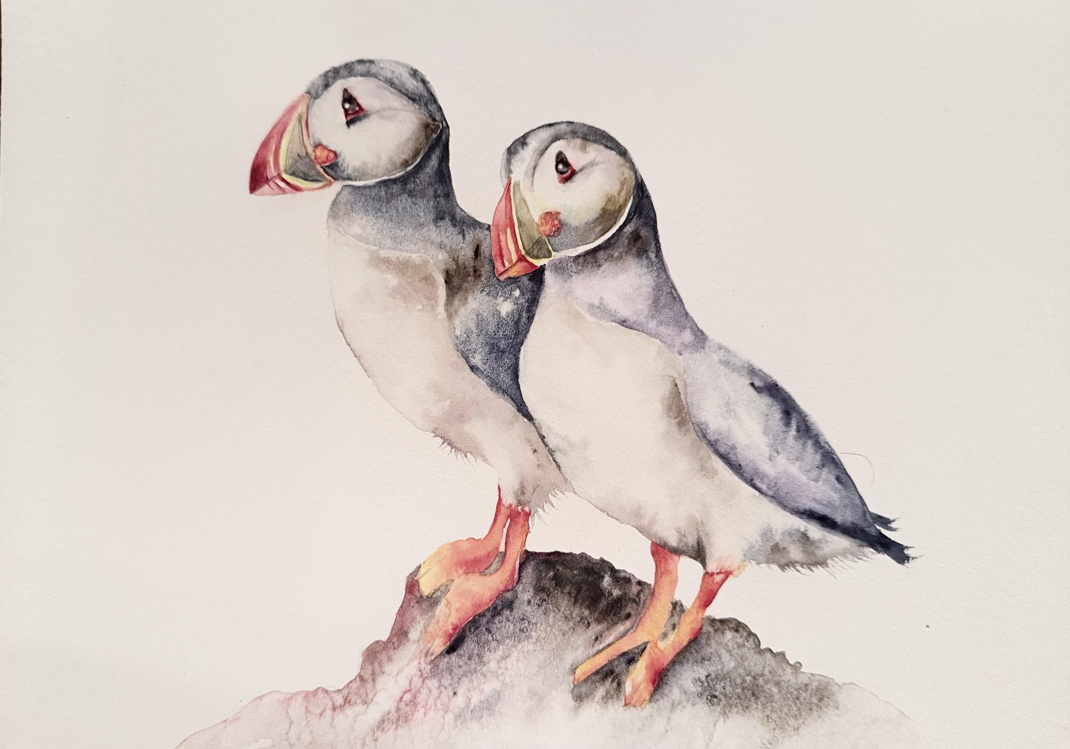 Peppy Puffins - image 1 - student project