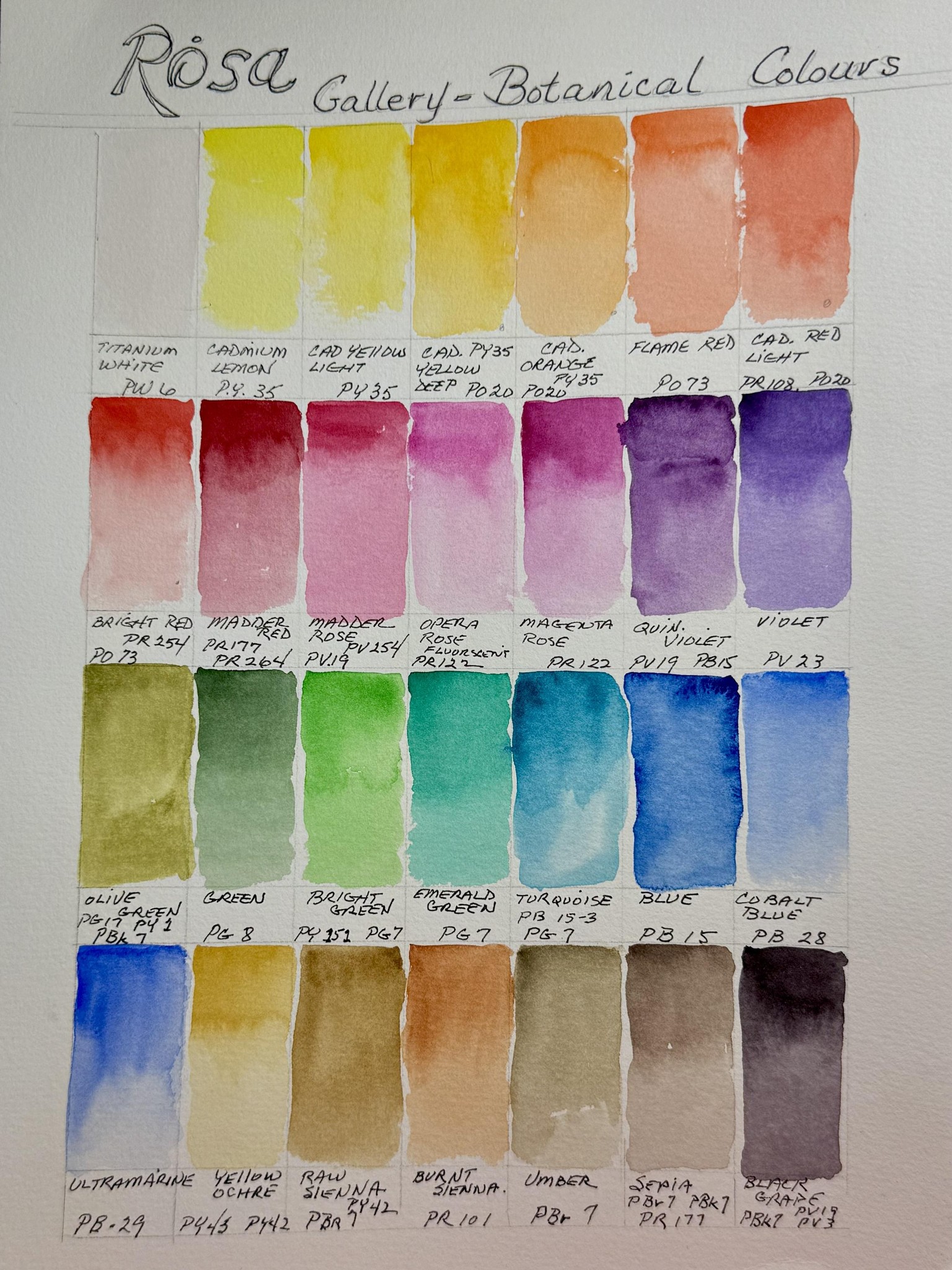 Rosa Gallery-Botanical Colours  Pan Set $45.30USD at Amazon - image 1 - student project