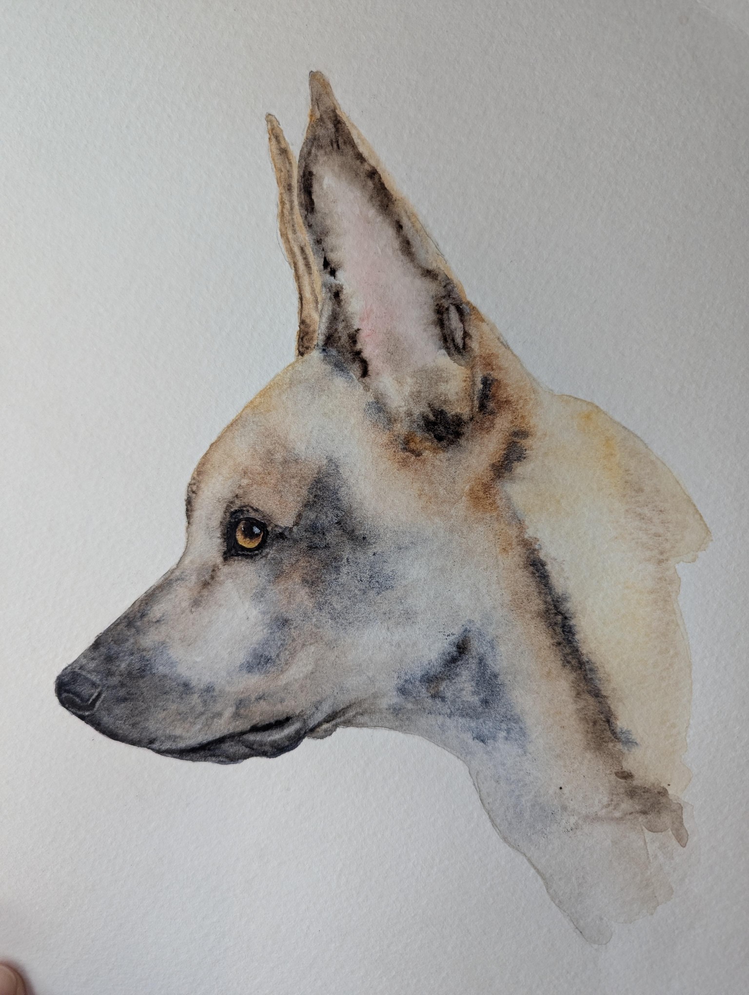 Pups - image 7 - student project