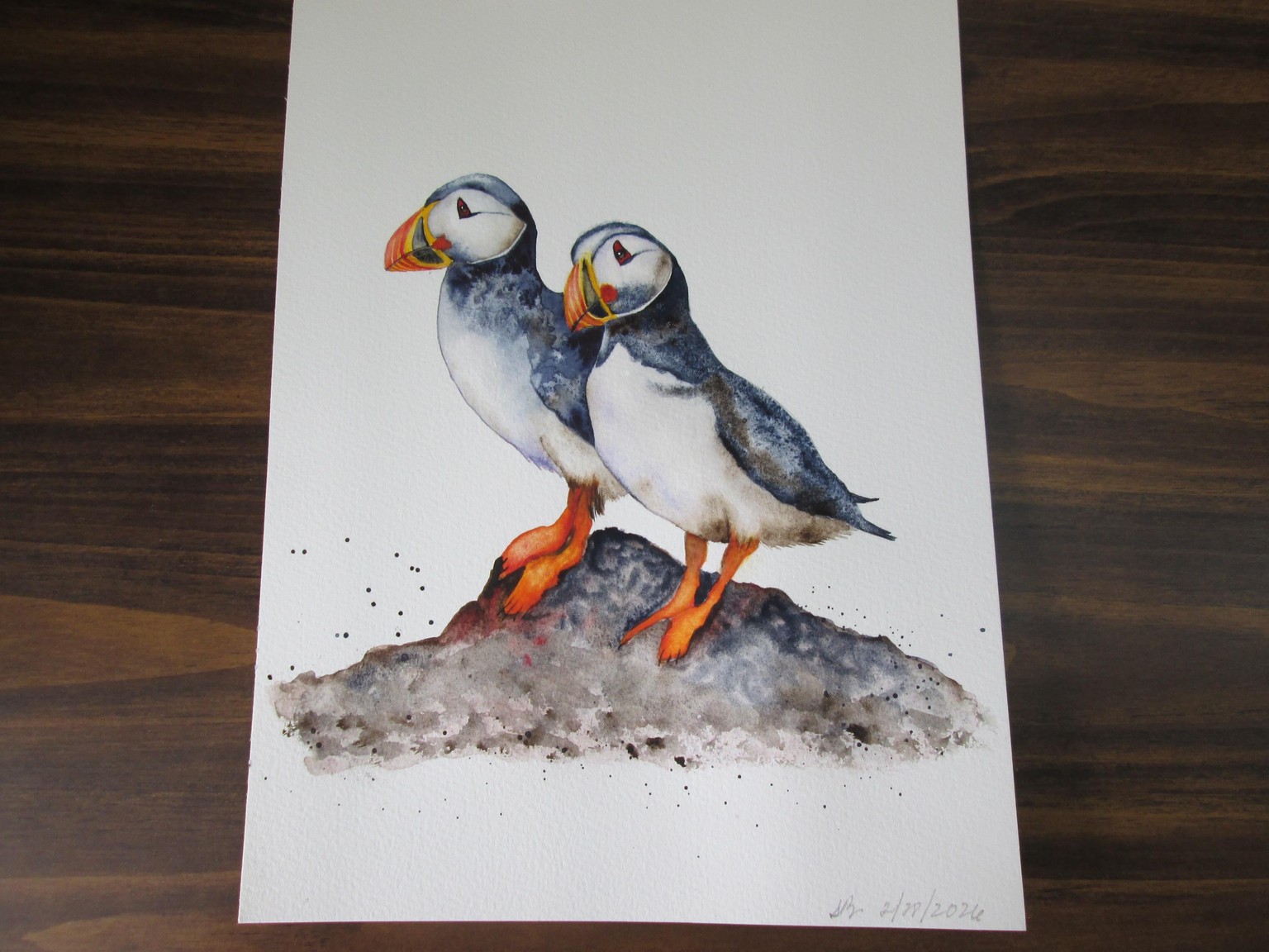Jane's Puffins - image 1 - student project