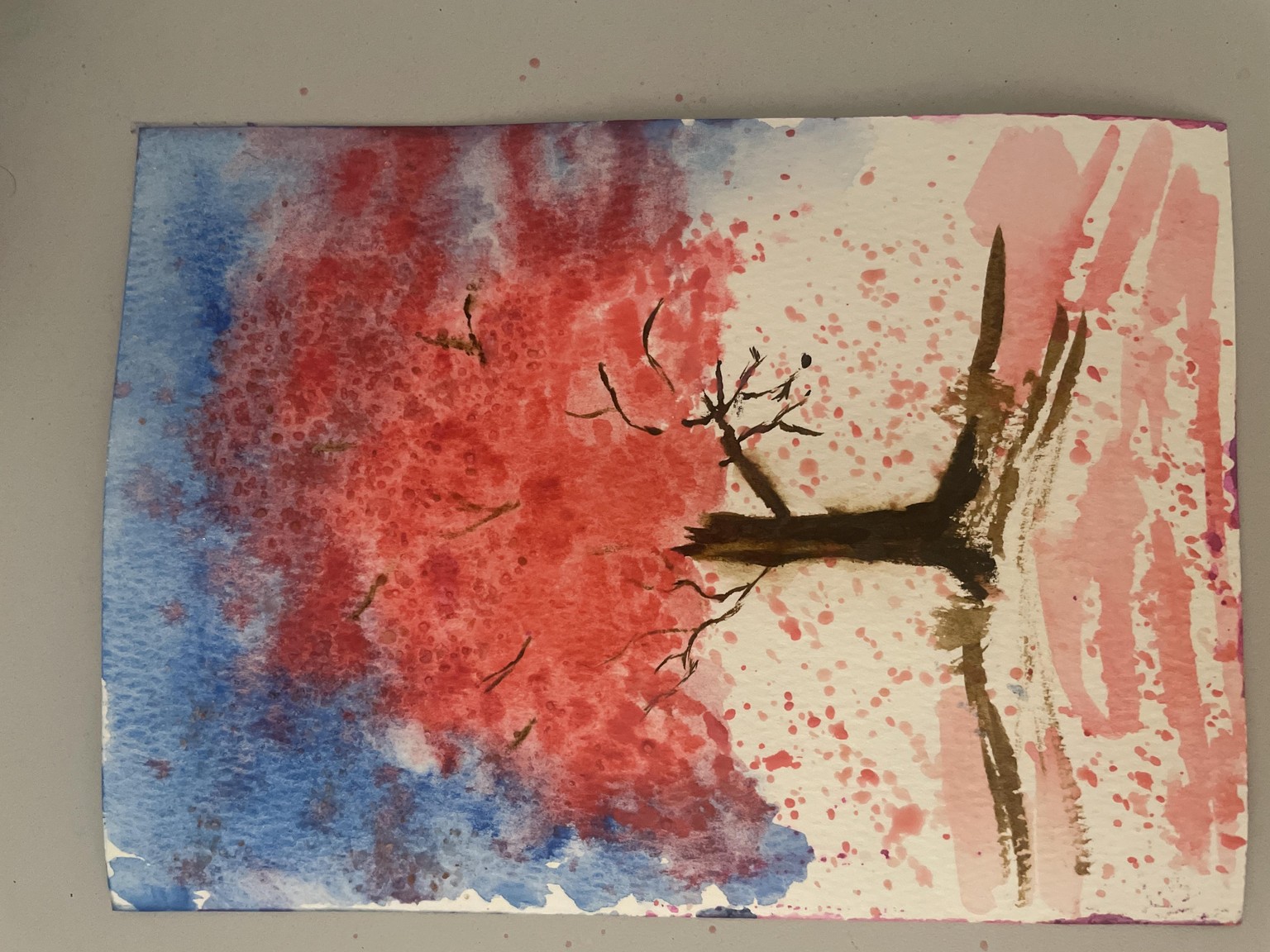 Cherry tree - image 1 - student project