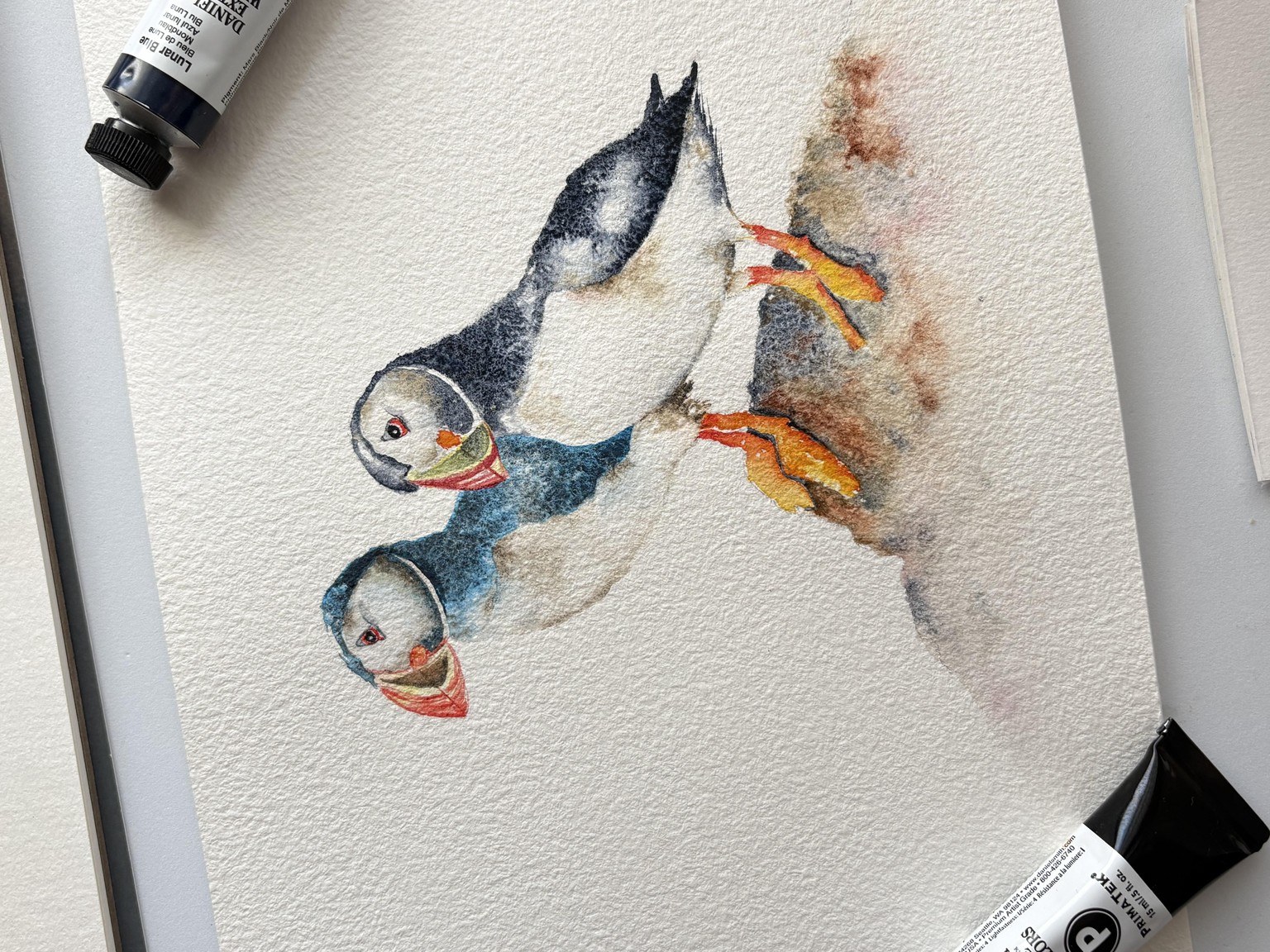 Puffins - image 1 - student project