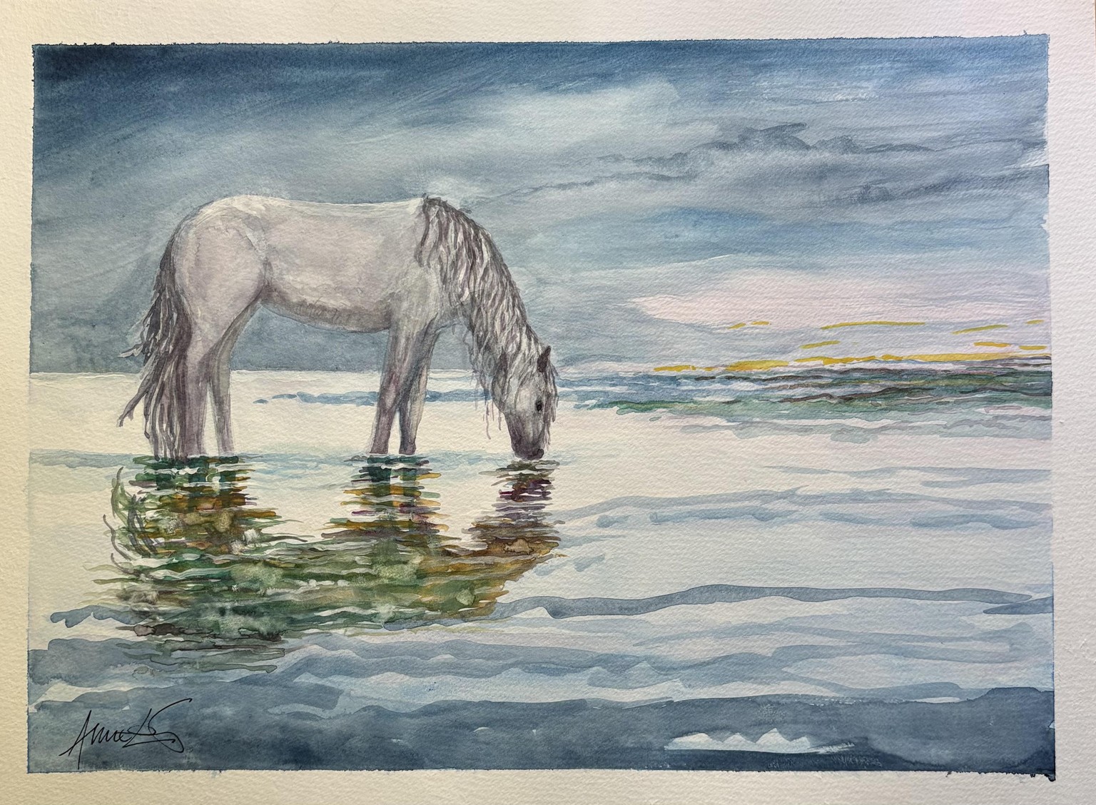 Grey horse - image 1 - student project