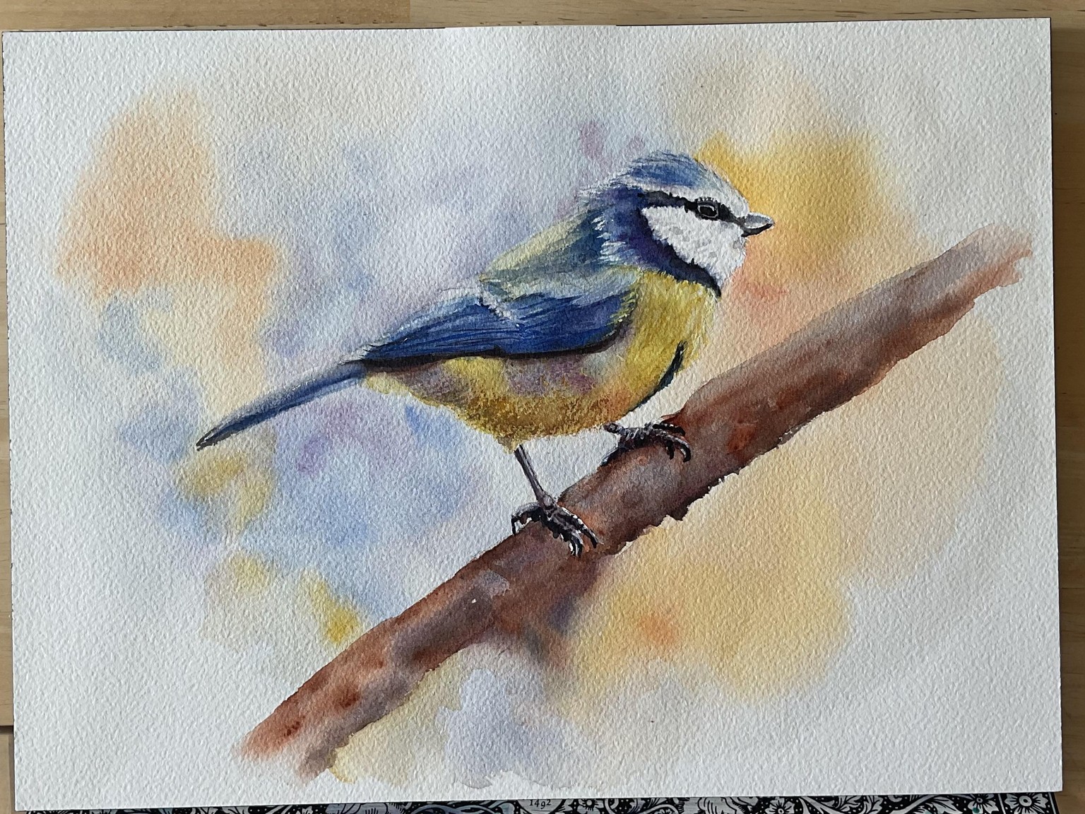 Blue Tit - image 1 - student project