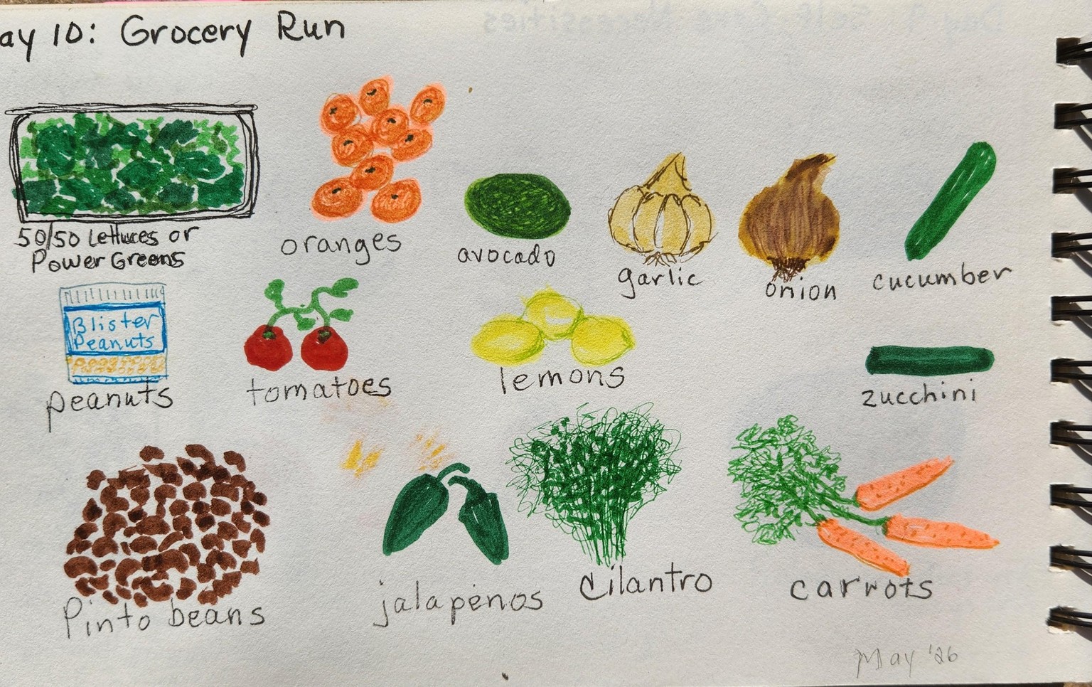 First Attempt with Illustrated Journal - image 10 - student project