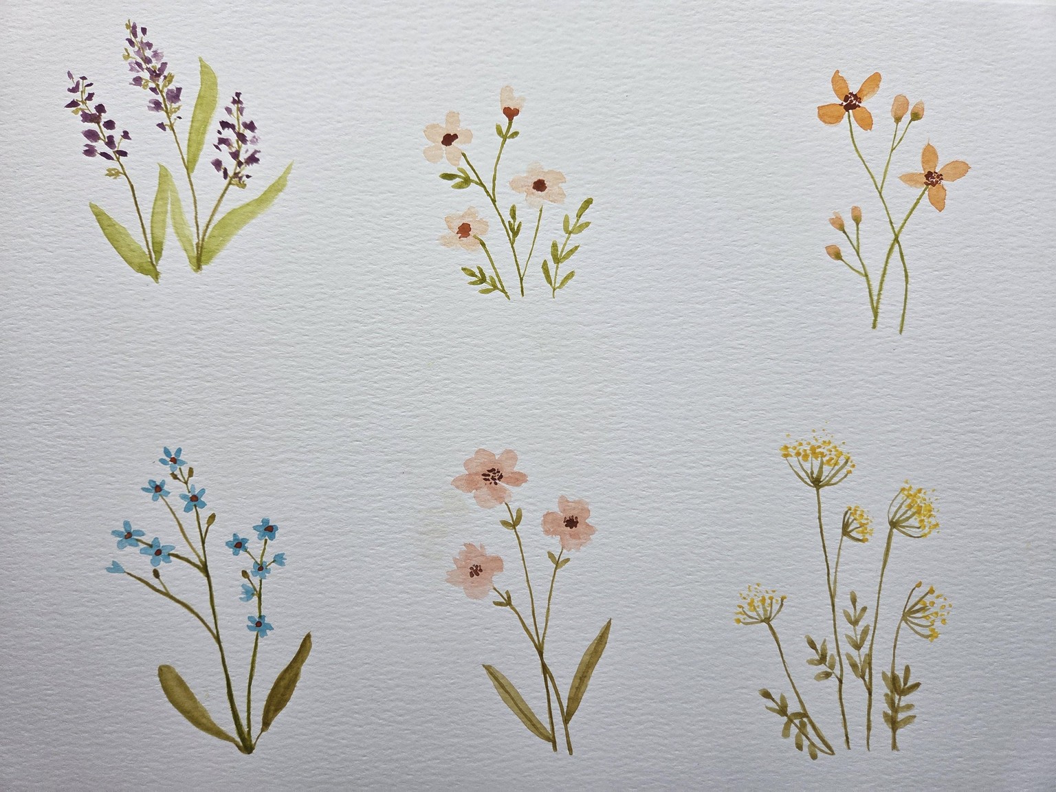 Watercolour flowers. Loved doing this class. - image 1 - student project