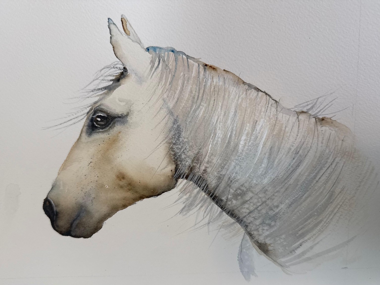 Italian Horse - image 1 - student project