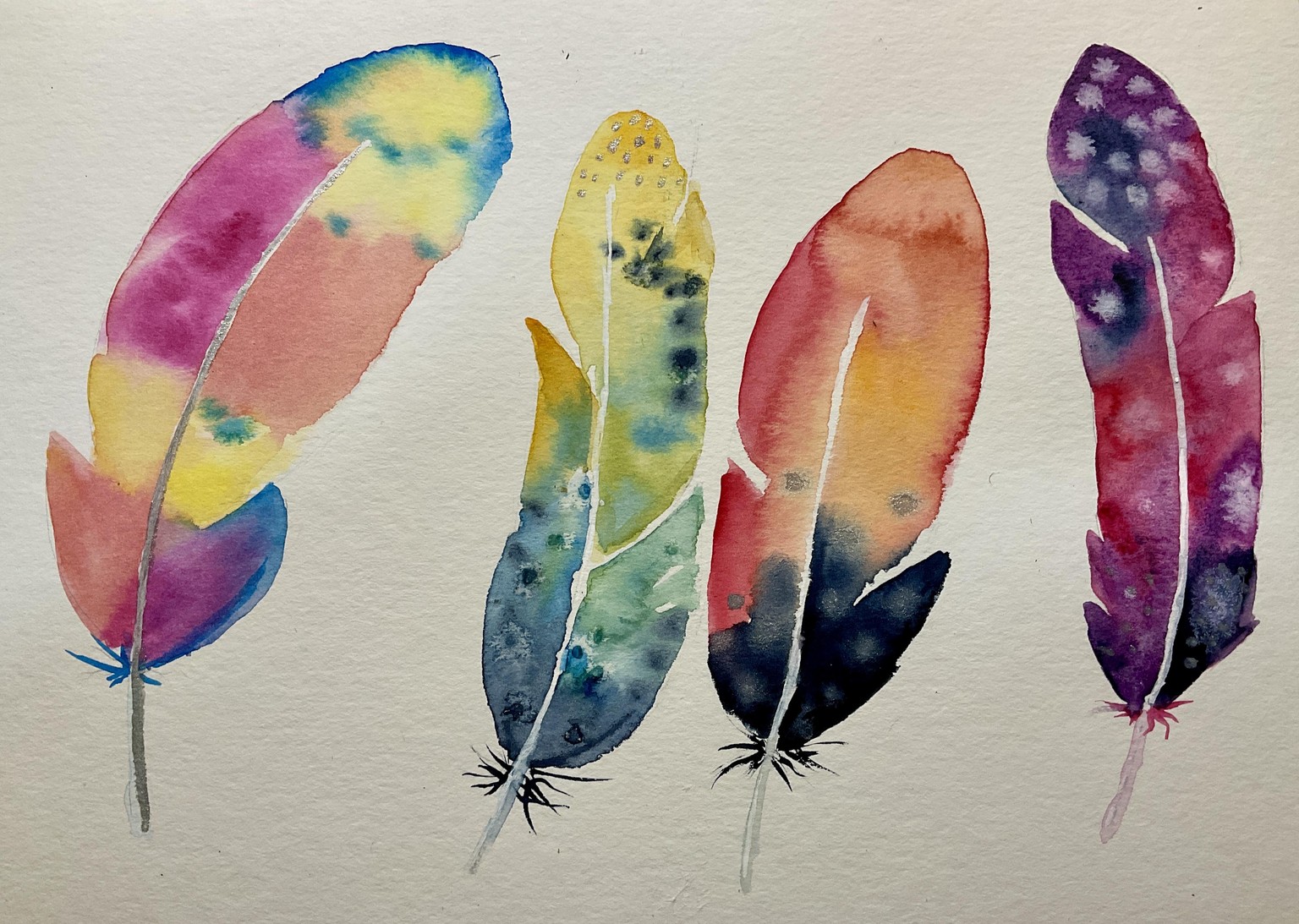 Colourful feathers - image 1 - student project
