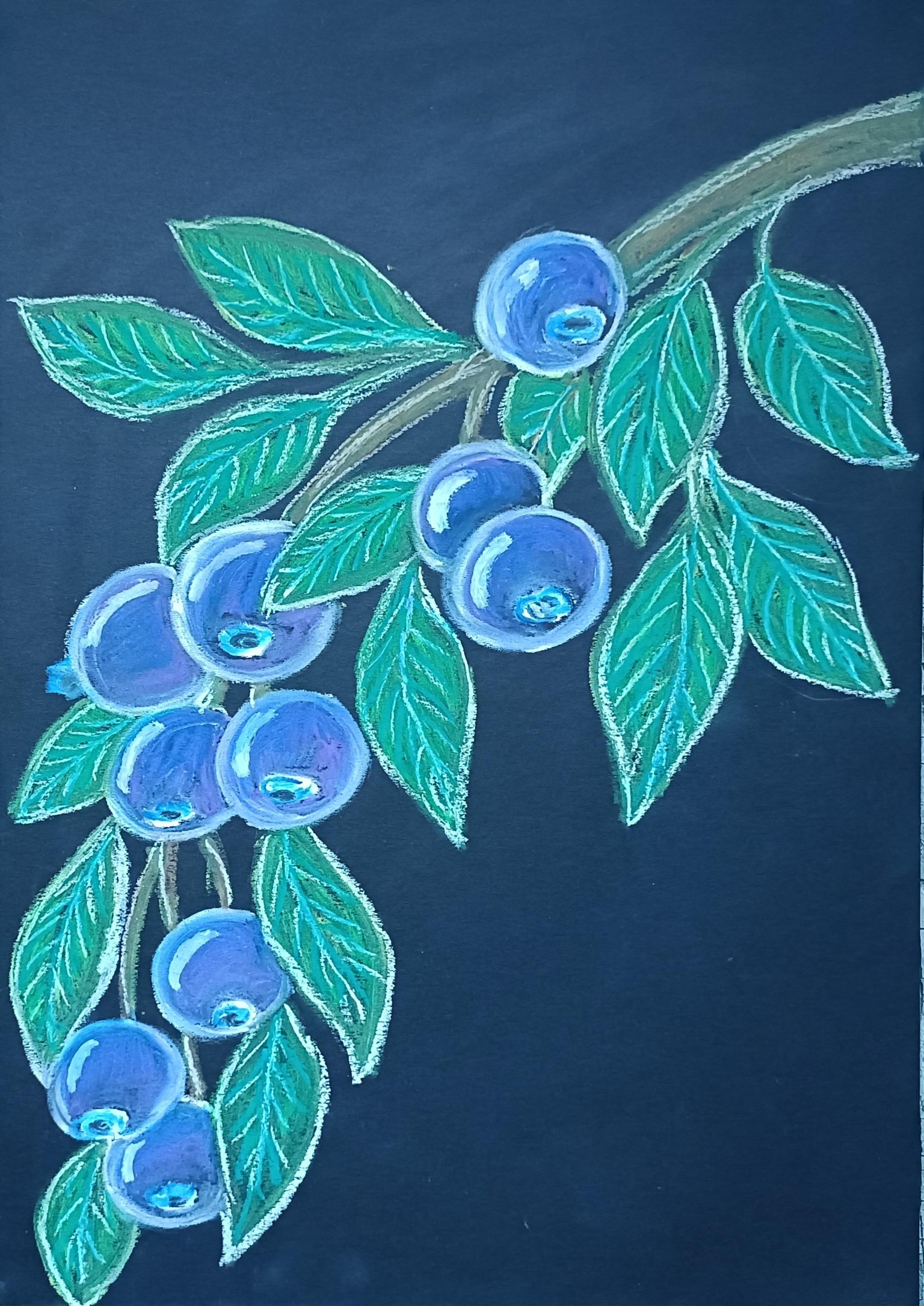 Blueberry branches - image 7 - student project