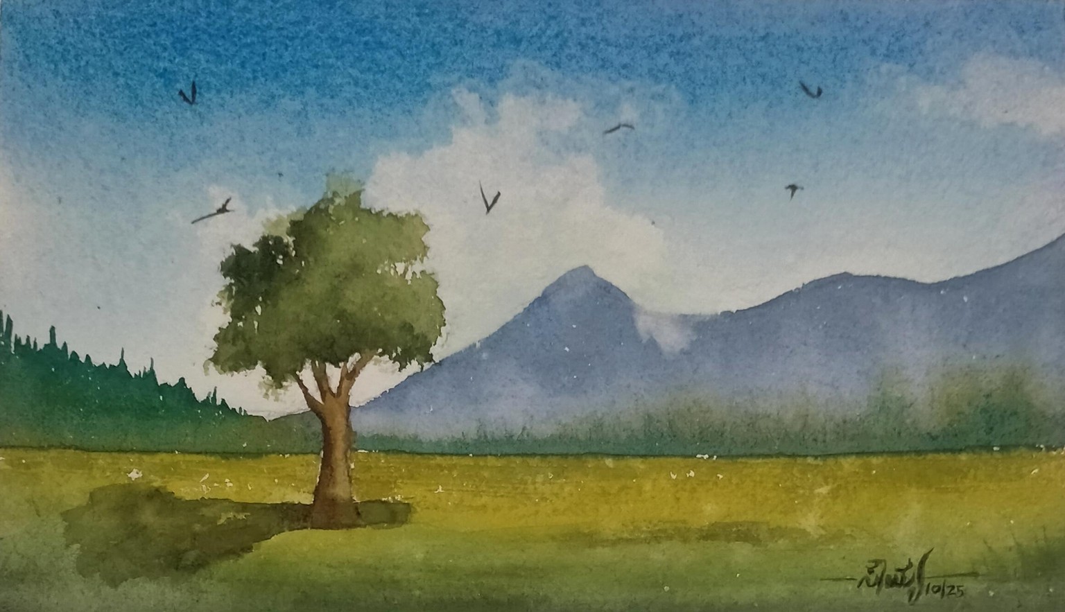 landscape before and after - image 1 - student project