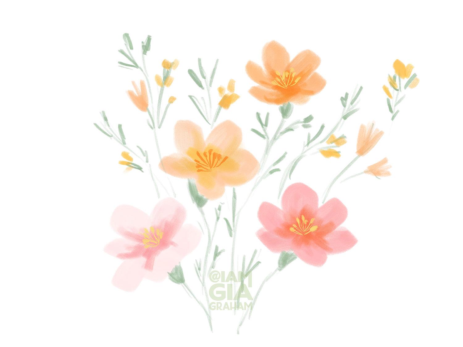 Wildflower Sketches - image 3 - student project