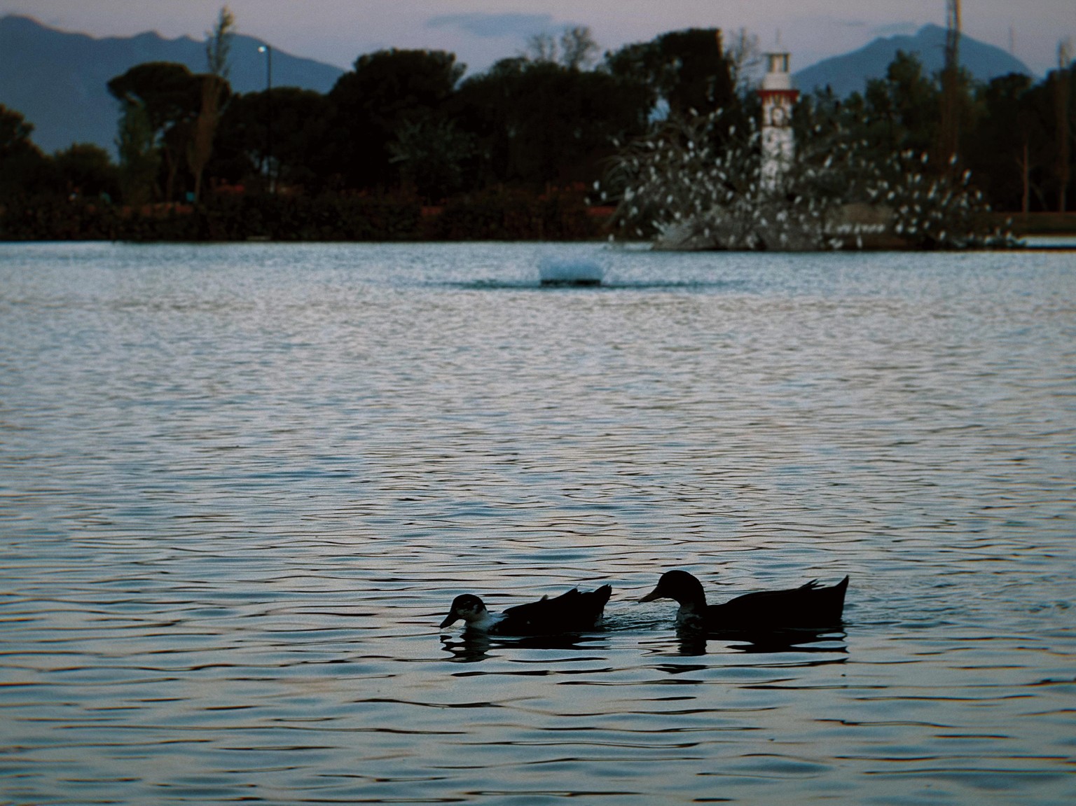 Ciudad Deportiva - image 5 - student project