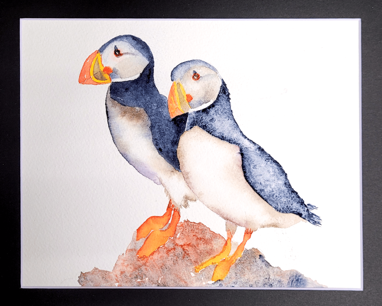 Puffins - image 1 - student project