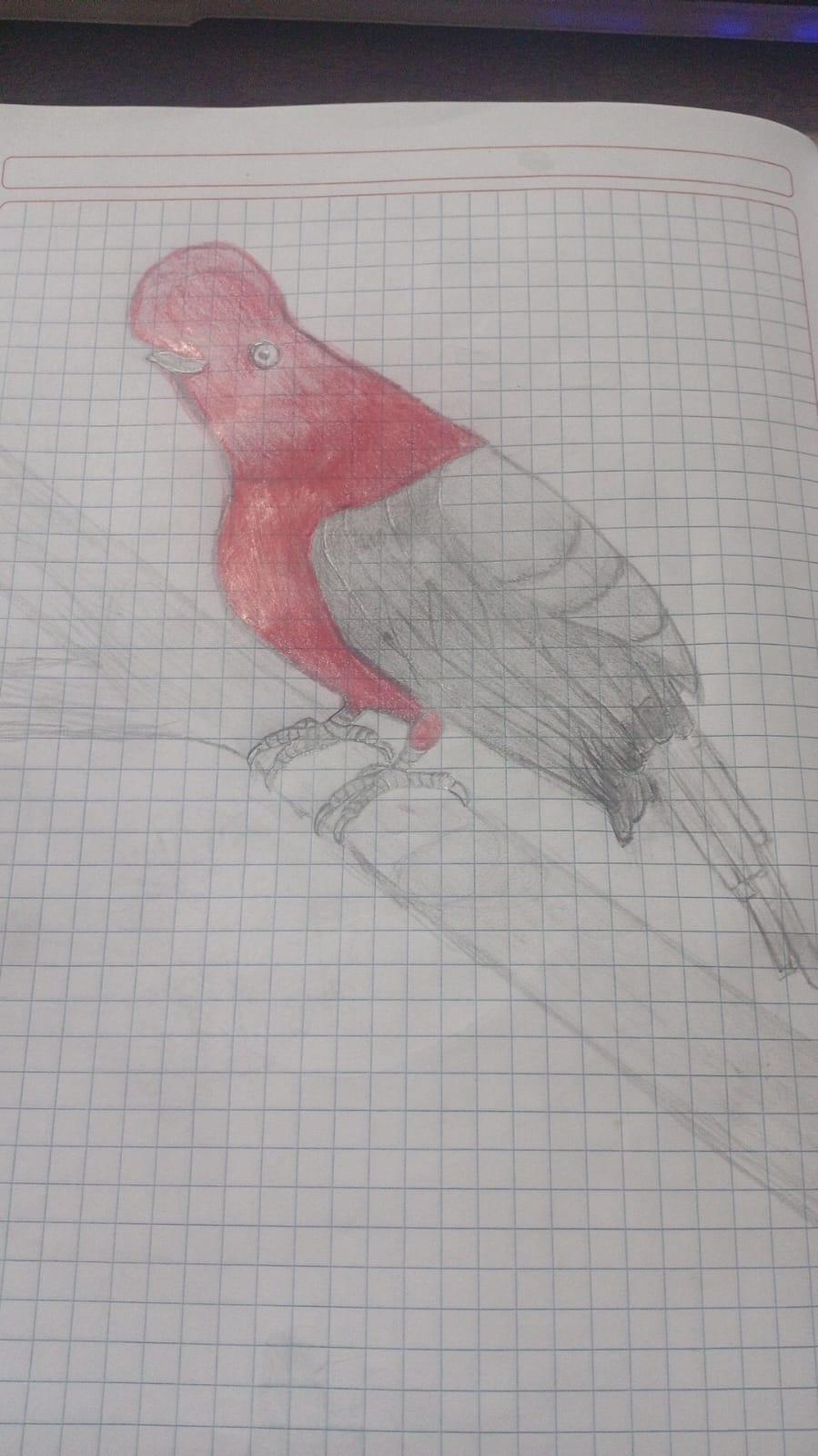 mi primera vez dibujando - image 1 - student project