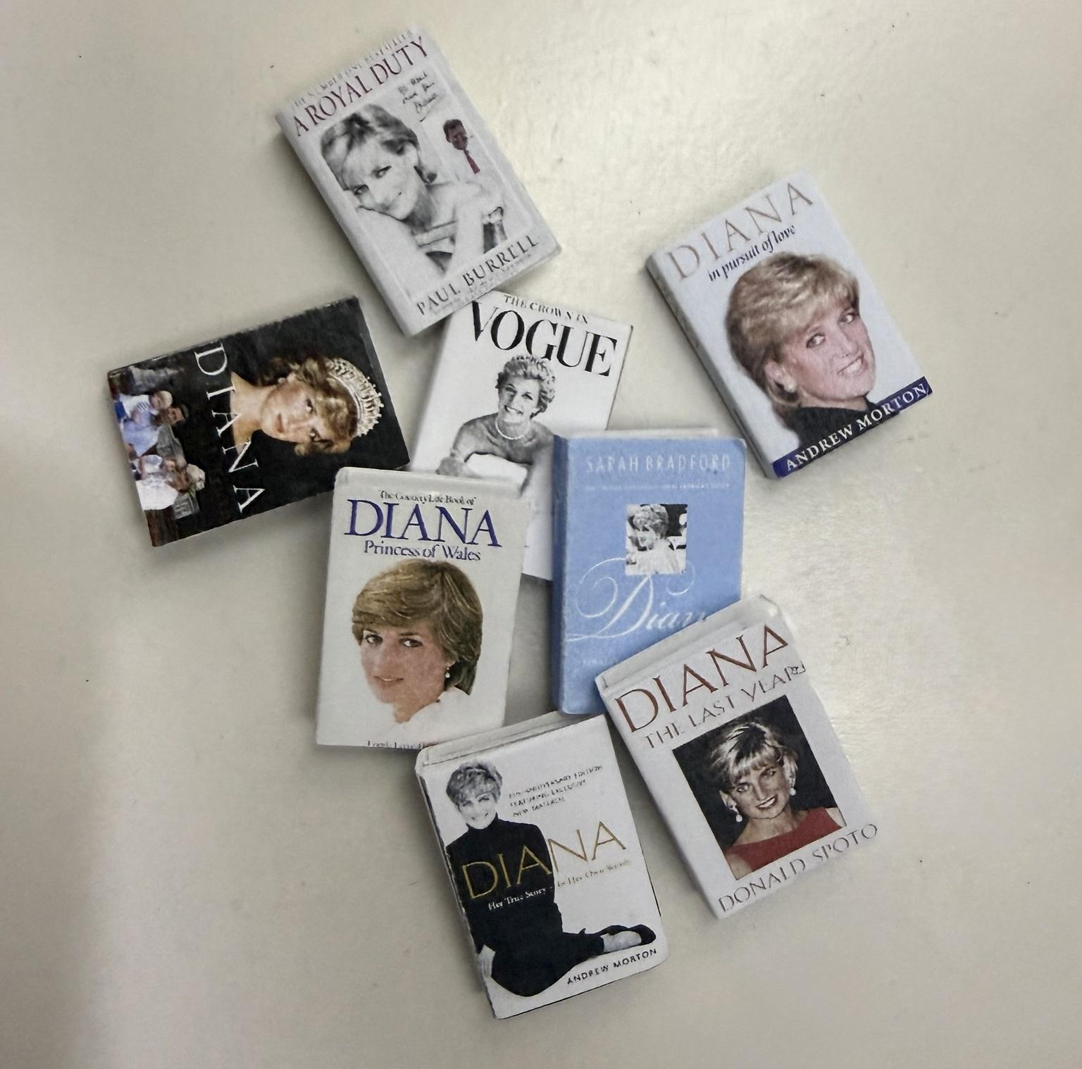 Diana Mini Books - image 2 - student project
