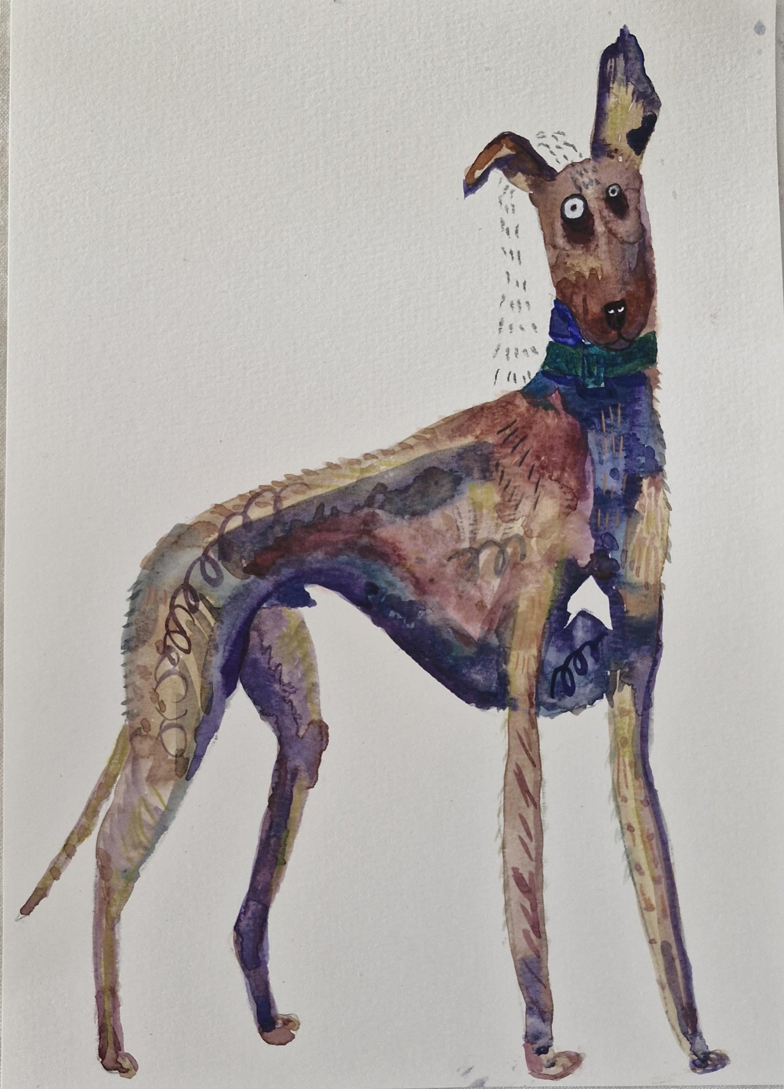 Portrait of a Greyhound - image 1 - student project