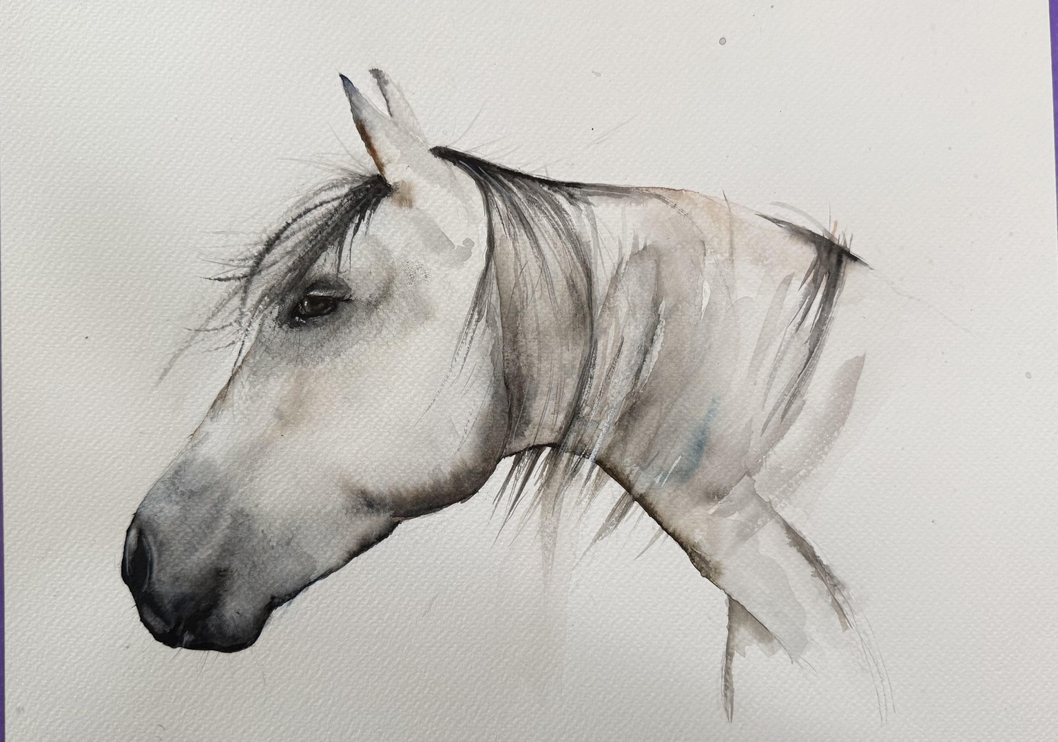 Italian horse - image 1 - student project