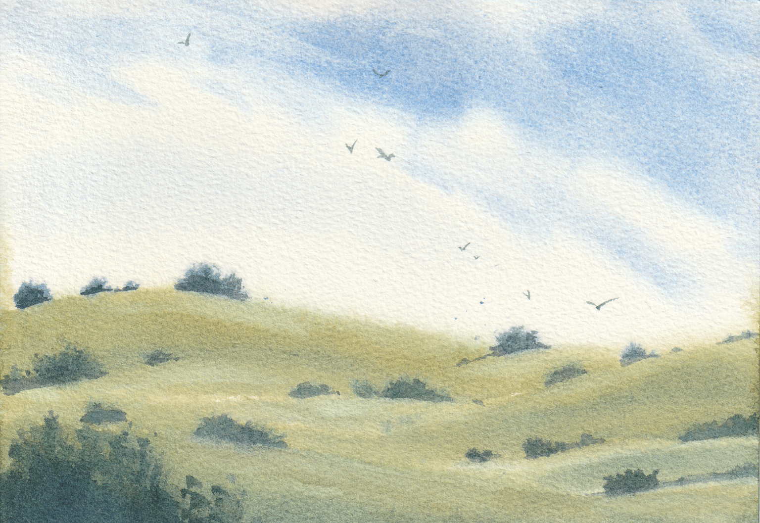 My journey learnig watercolor! - image 1 - student project