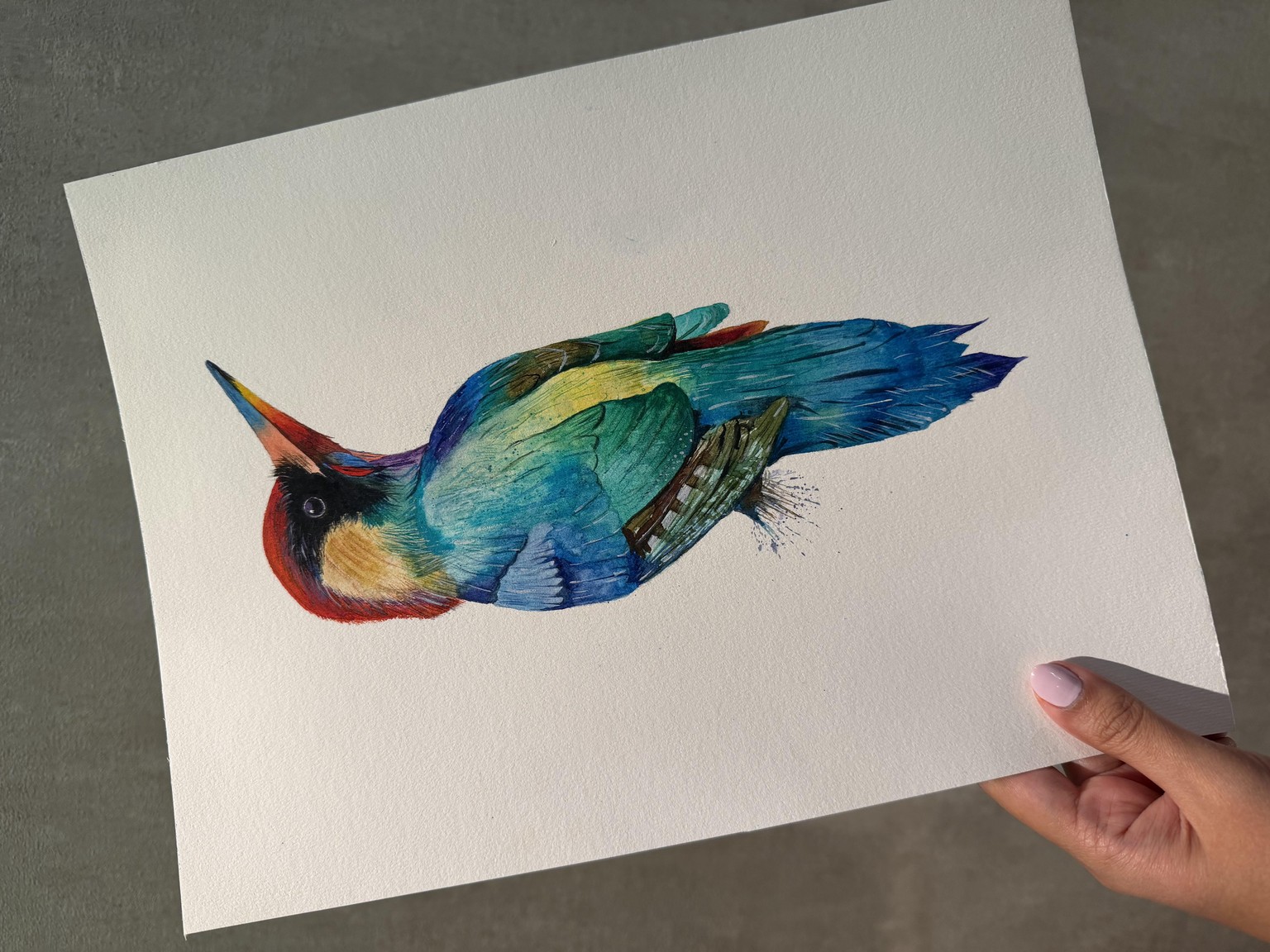 Woodpecker - image 1 - student project