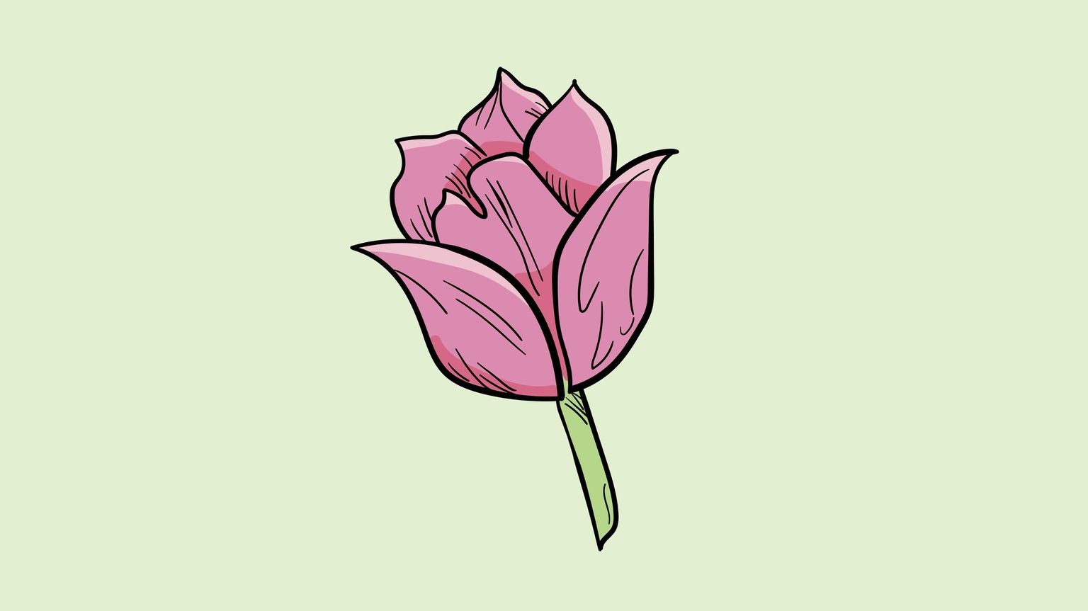 Tulip inked in Illustrator - image 1 - student project