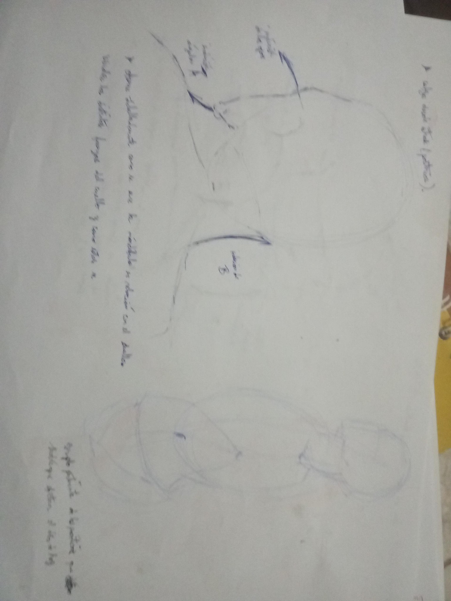 Volumen and structure - image 15 - student project