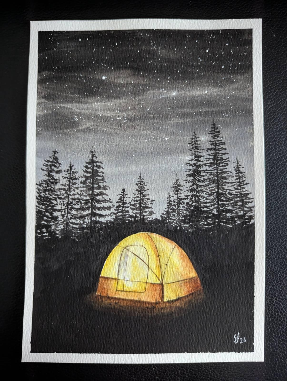 Pine trees under the stars - image 1 - student project
