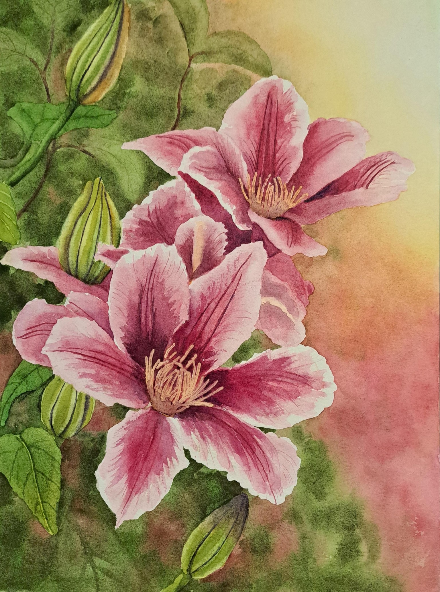 Clematis - image 1 - student project