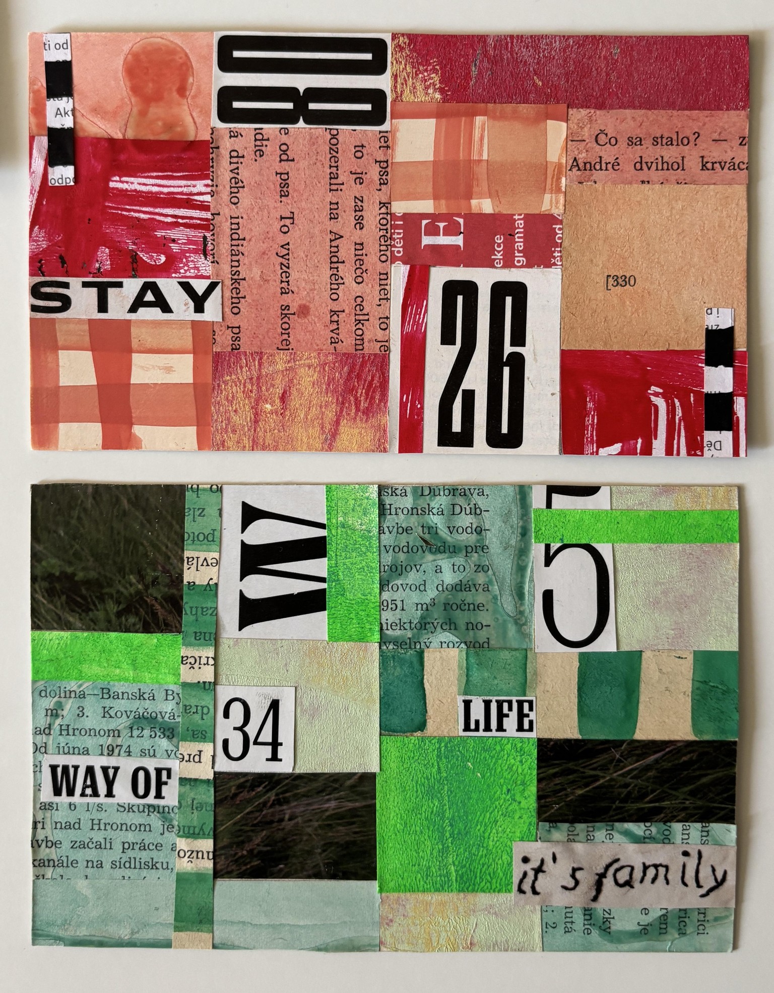 My project for “Postcard studio: stripes amd type” - image 2 - student project