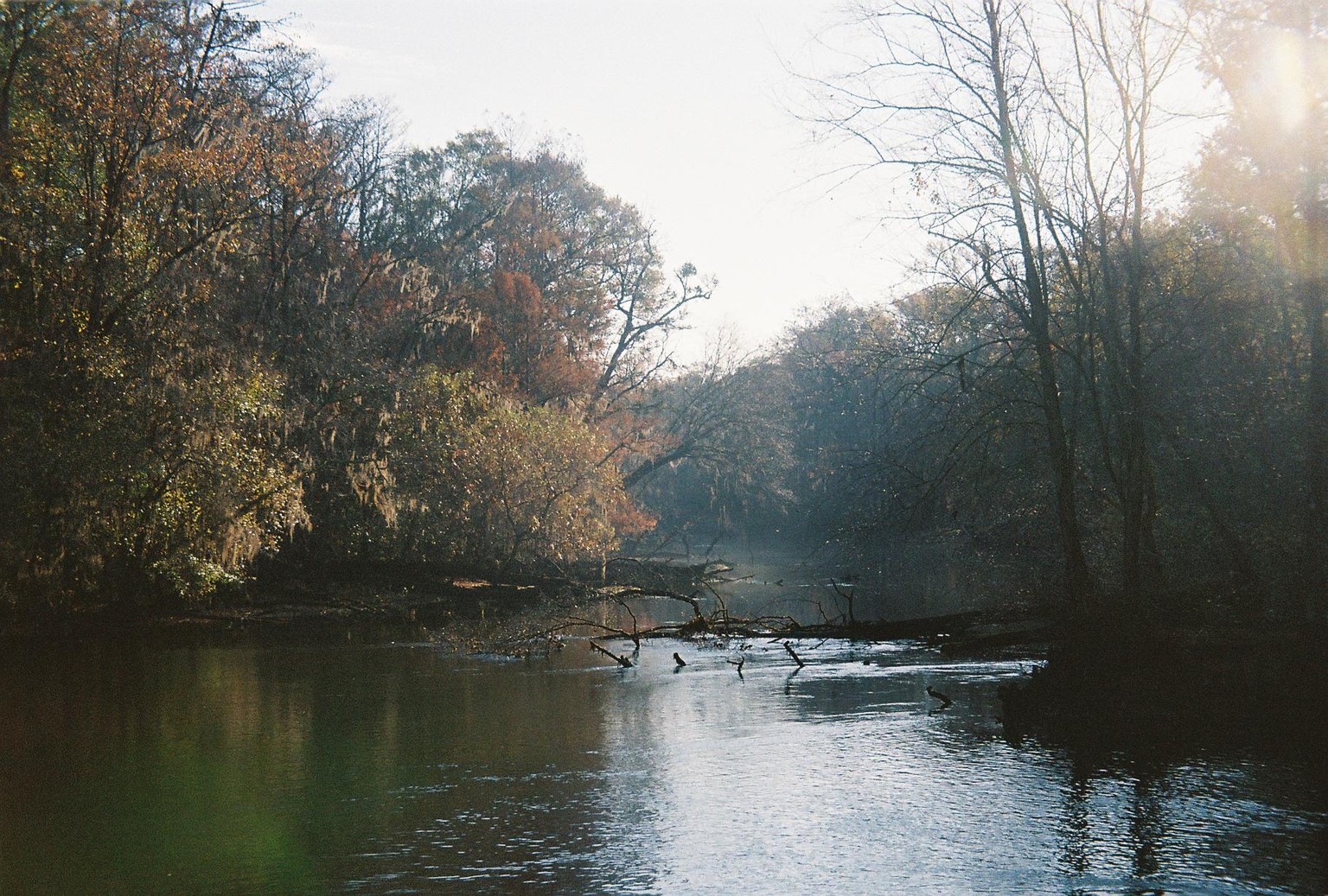 The Lumber river (film) - image 3 - student project