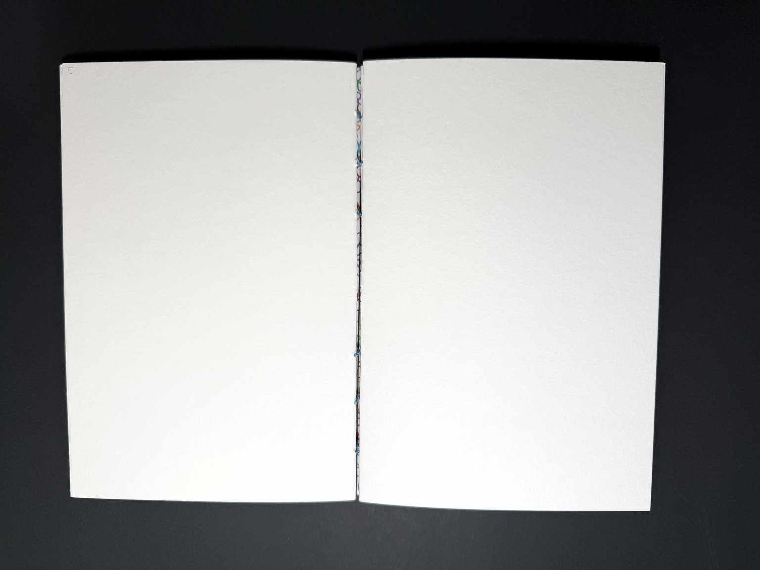 Bare Spine Flowers - image 3 - student project
