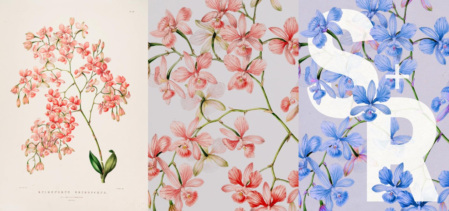 Botanical Design Exploration - image 10 - student project