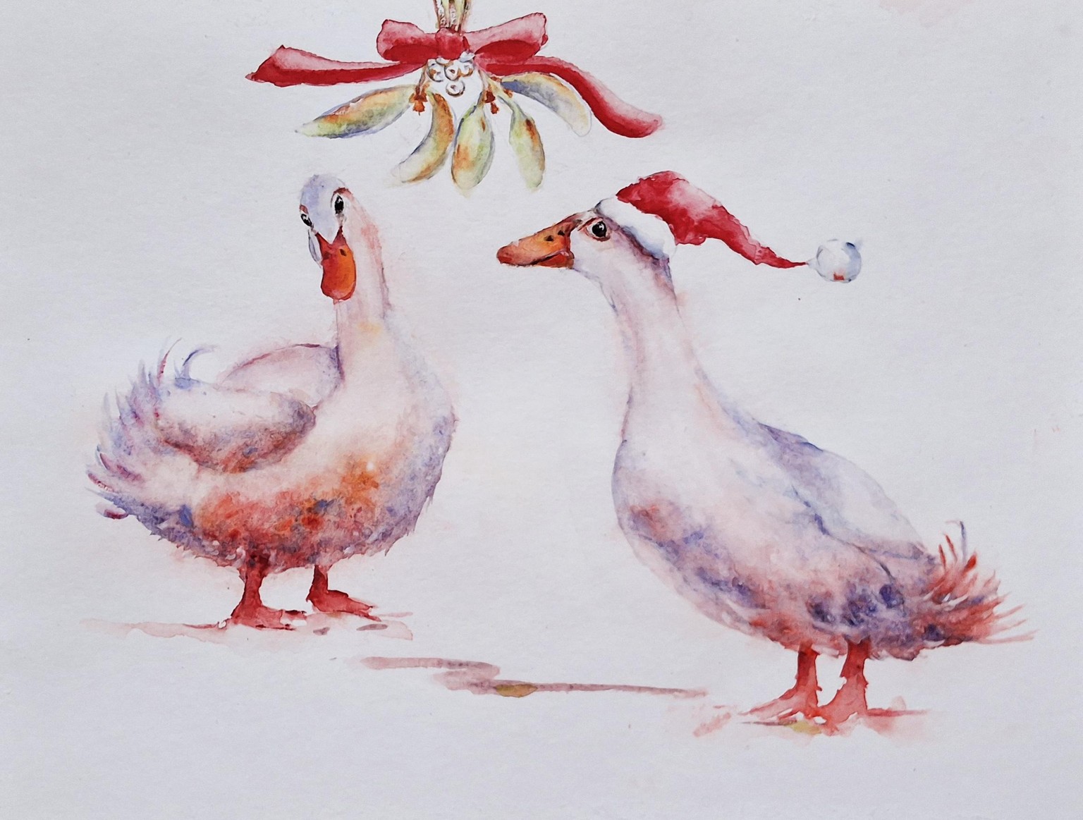 Ducks under the mistletoe  Daisy and Sammy - image 1 - student project