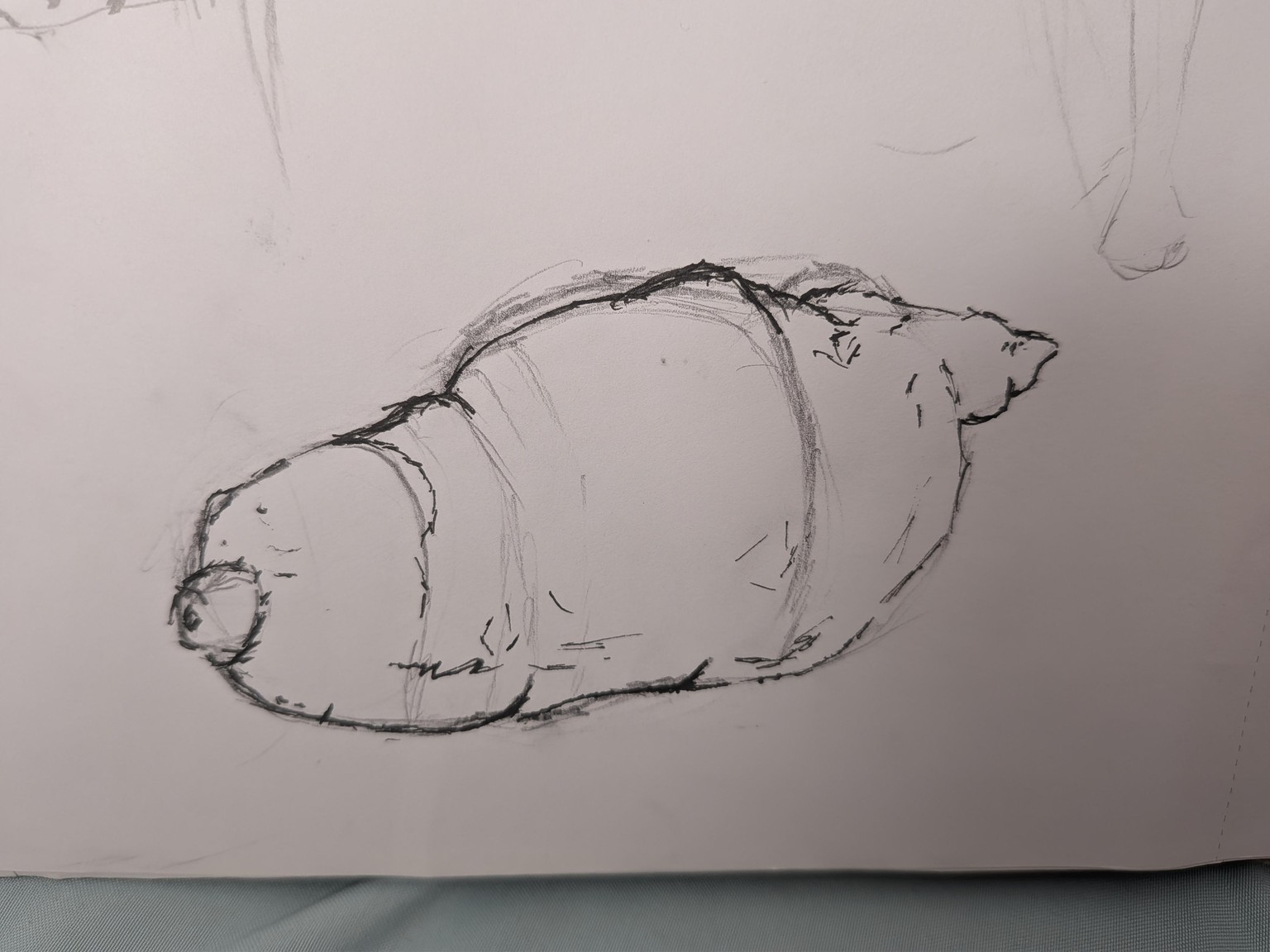 face and potato - image 1 - student project