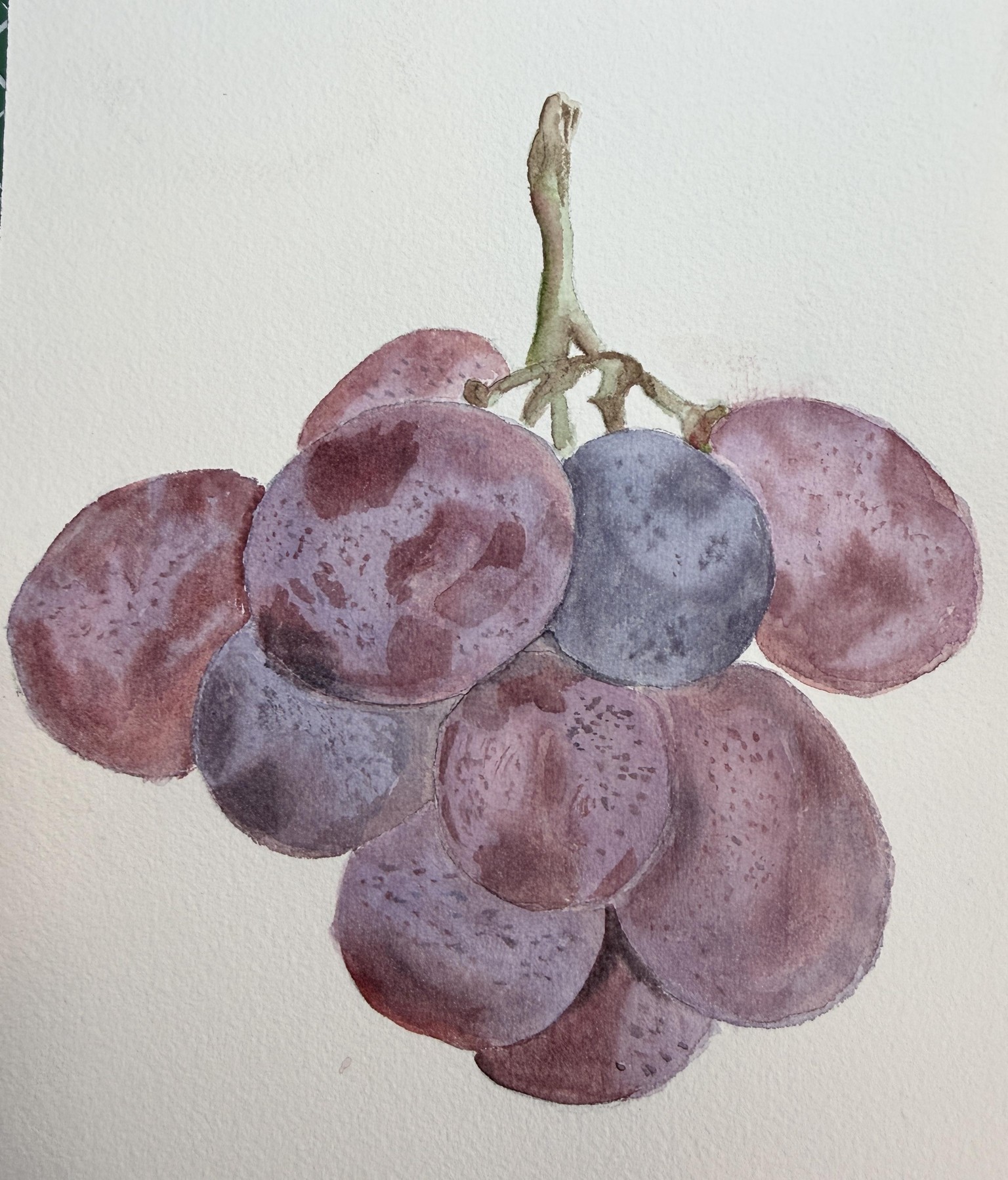 First attempt. Raisins réalistes. - image 1 - student project