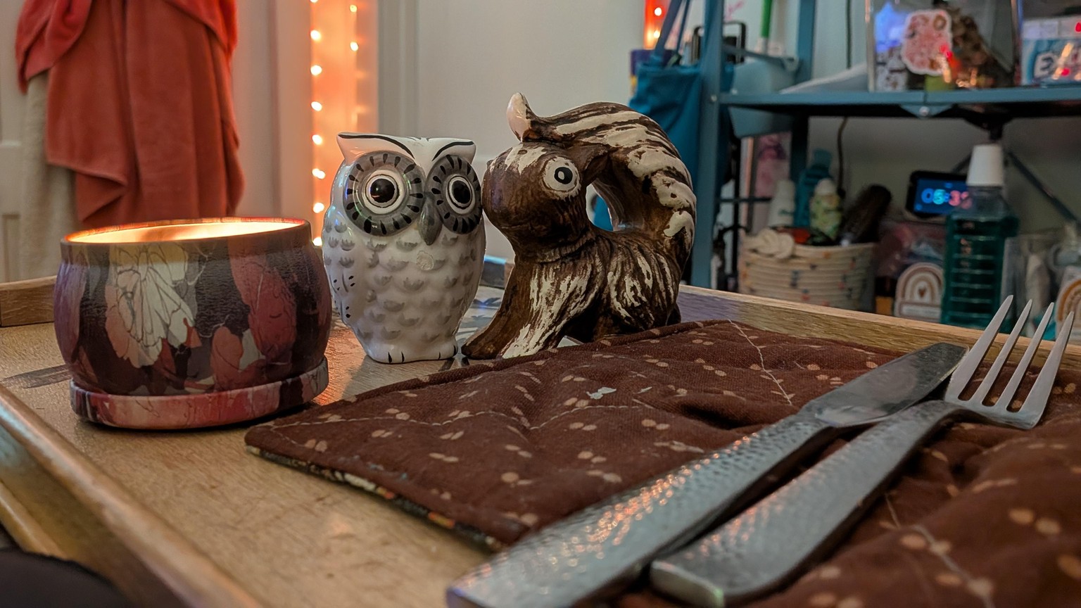 Snowy Owl, Wide-Eyed Squirrel - image 1 - student project