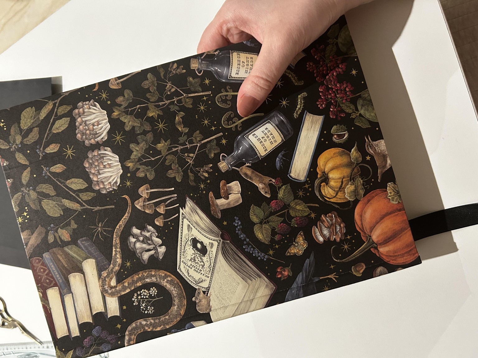 By far my most professional looking book binding - image 3 - student project